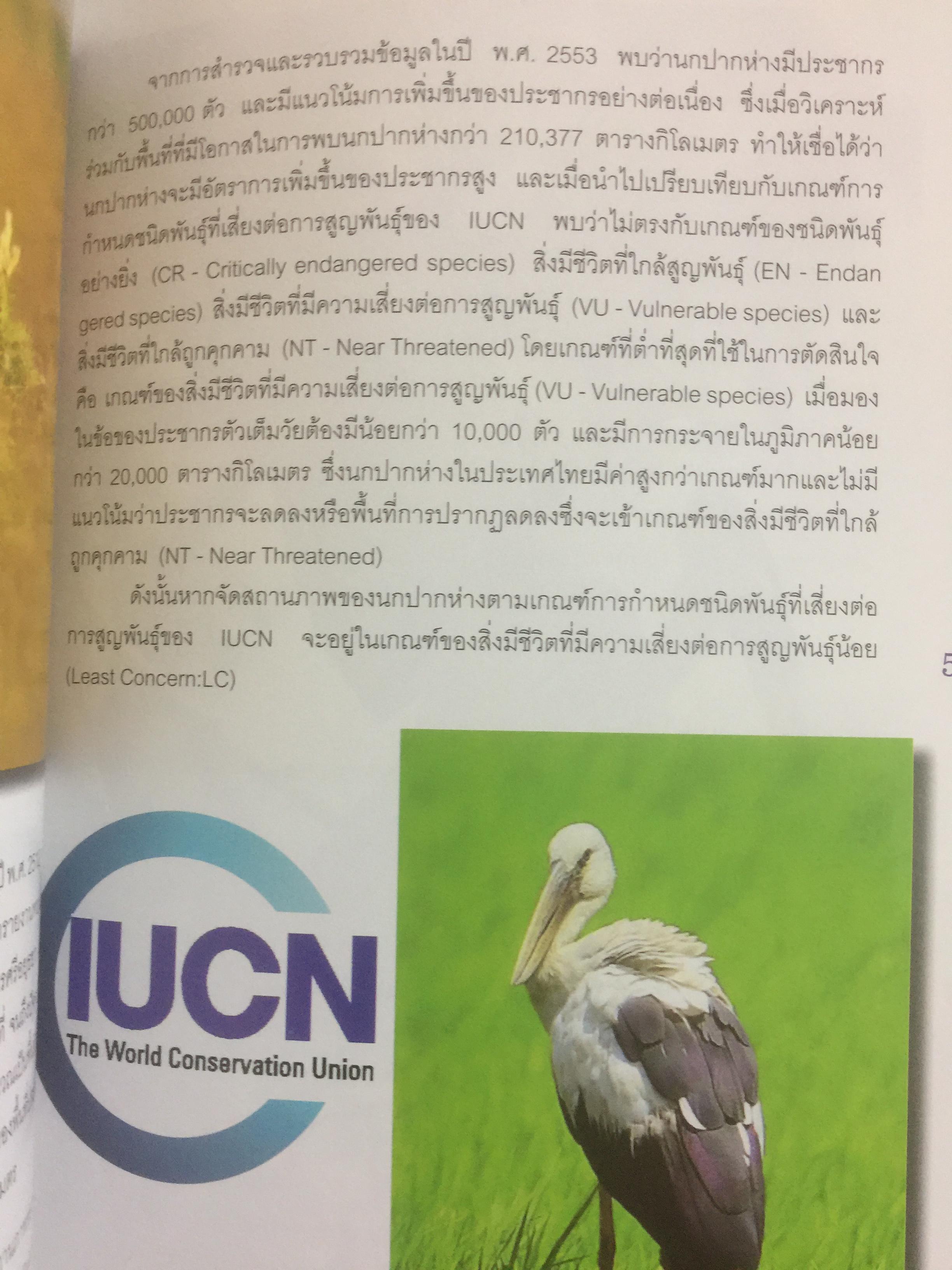สาระความรู้ นกปากห่าง ในประเทศไทย. ผู้เขียน ไกรรัตน์ เอี่ยมอำไพและคณะ 0 กก.