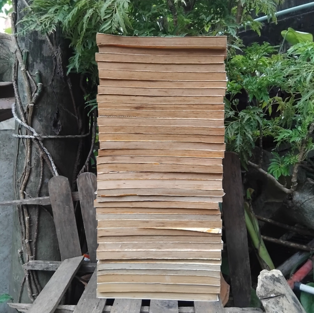 ได ตะลุยแดนเวทย์มนต์ เล่ม 1-37 จบ ขาด34-35 สะสมทุกเล่ม ไม่ปั๊ม ไม่แม็กซ์ มีตำหนิ