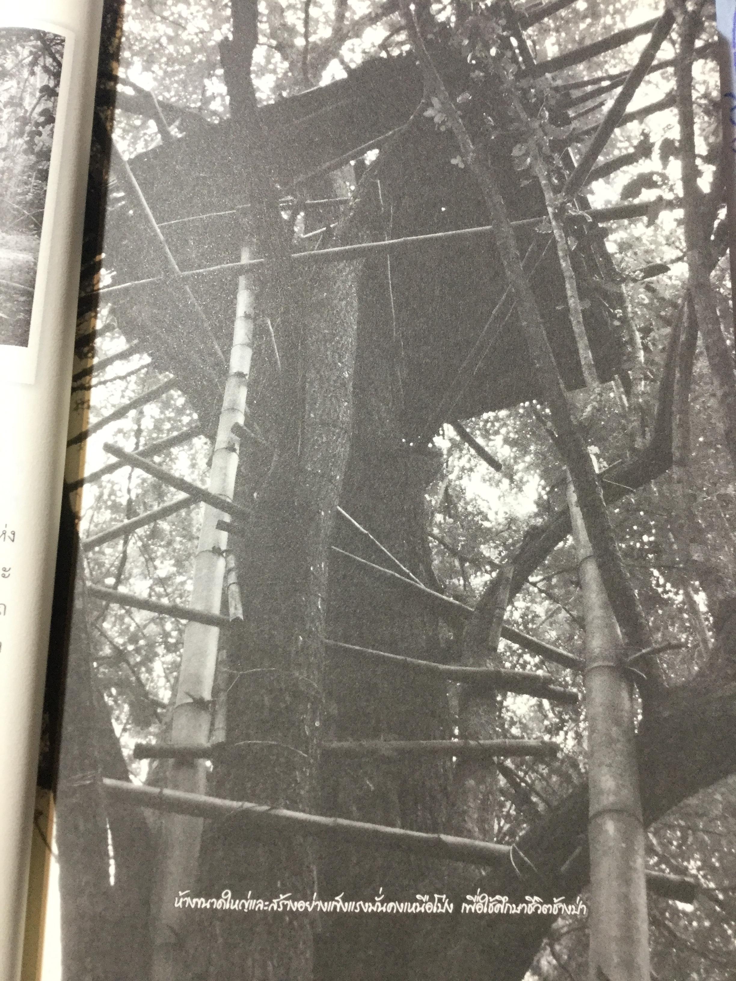 เล่าเรื่องระทึกใจในสลักเพชร (จังหวัดกาญจนบุรี). ผู้เขียน เปลว ปัทมา 0 กก.