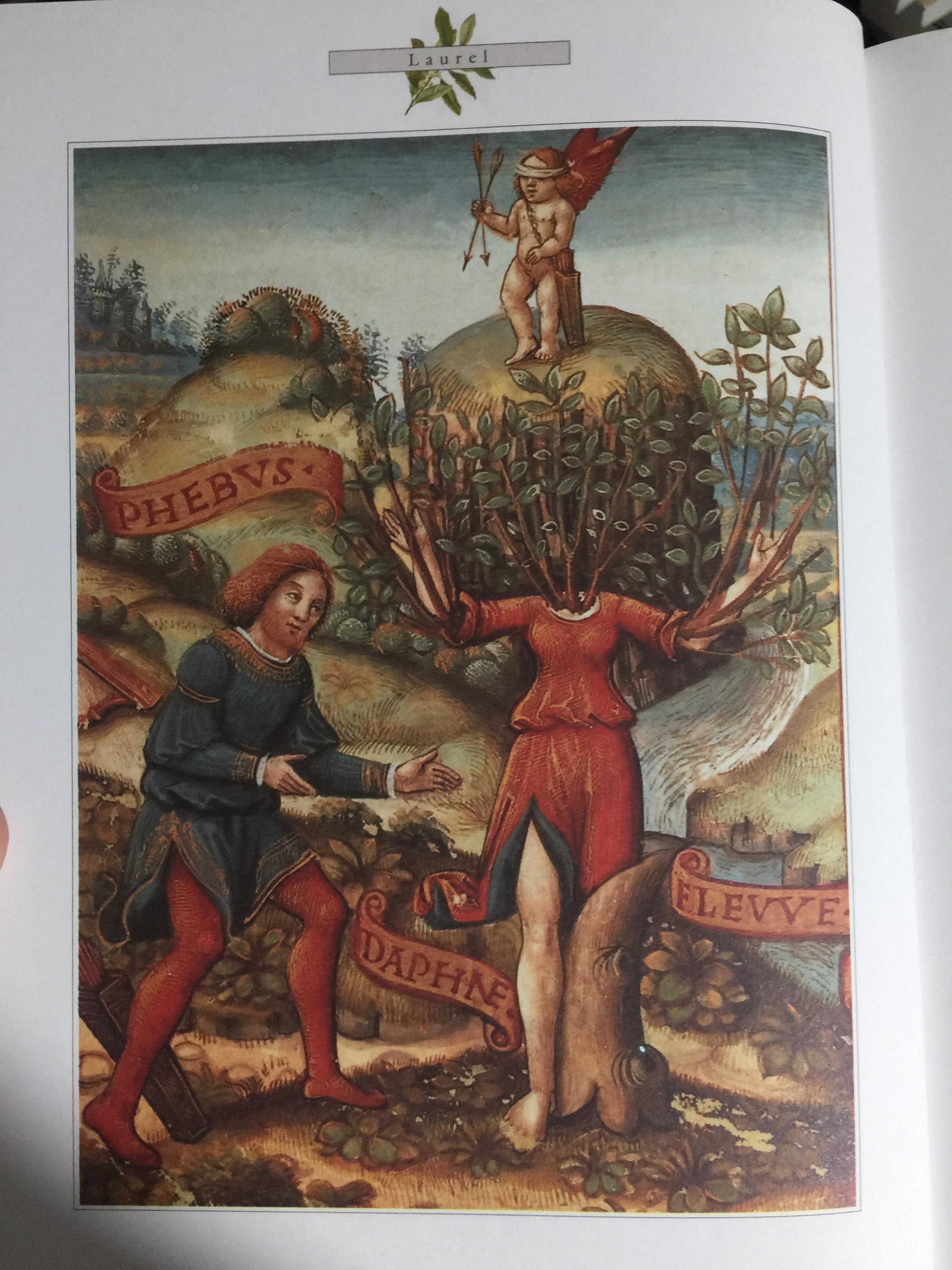 THE LORE OF LORE SPICES. Their history nature and uses around the world ผู้เขียน J.O. SWAHN. 0 กก.