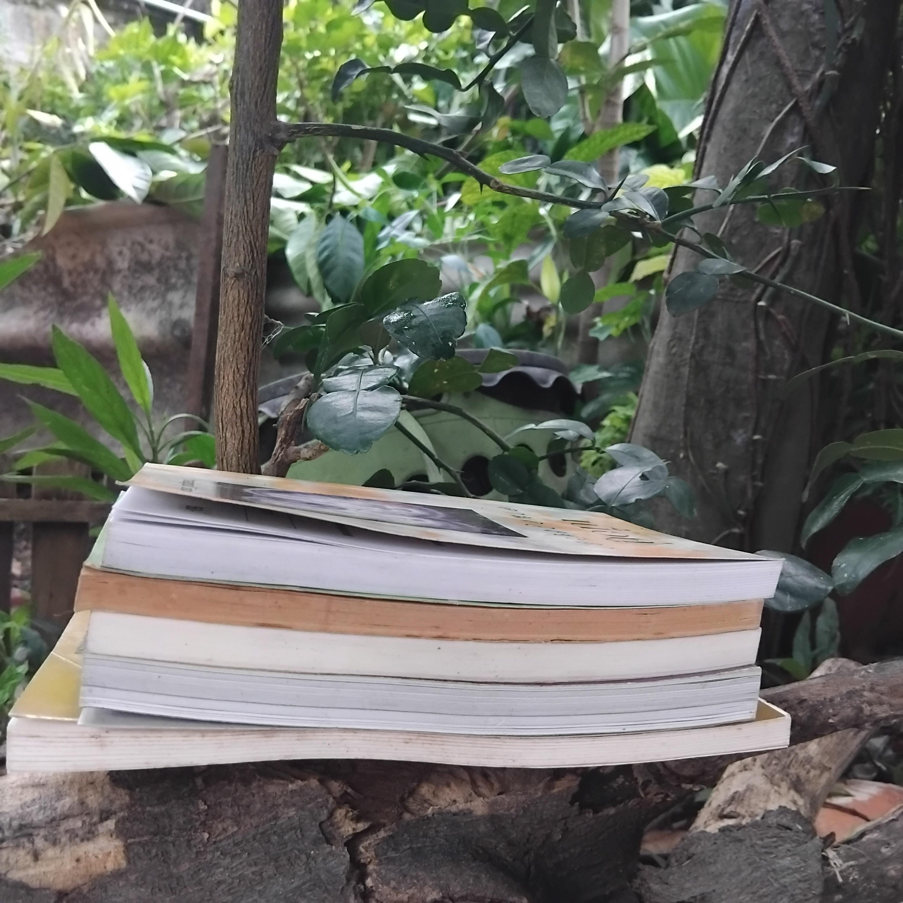 รวมหนังสือโหราศาสตร์ดูเนื้อคู่ ไพ่พยากรณ์ ไพ่ป๊อกและไพ่ยิปซีครับ สภาพสวยงามทุกเล่มครับ