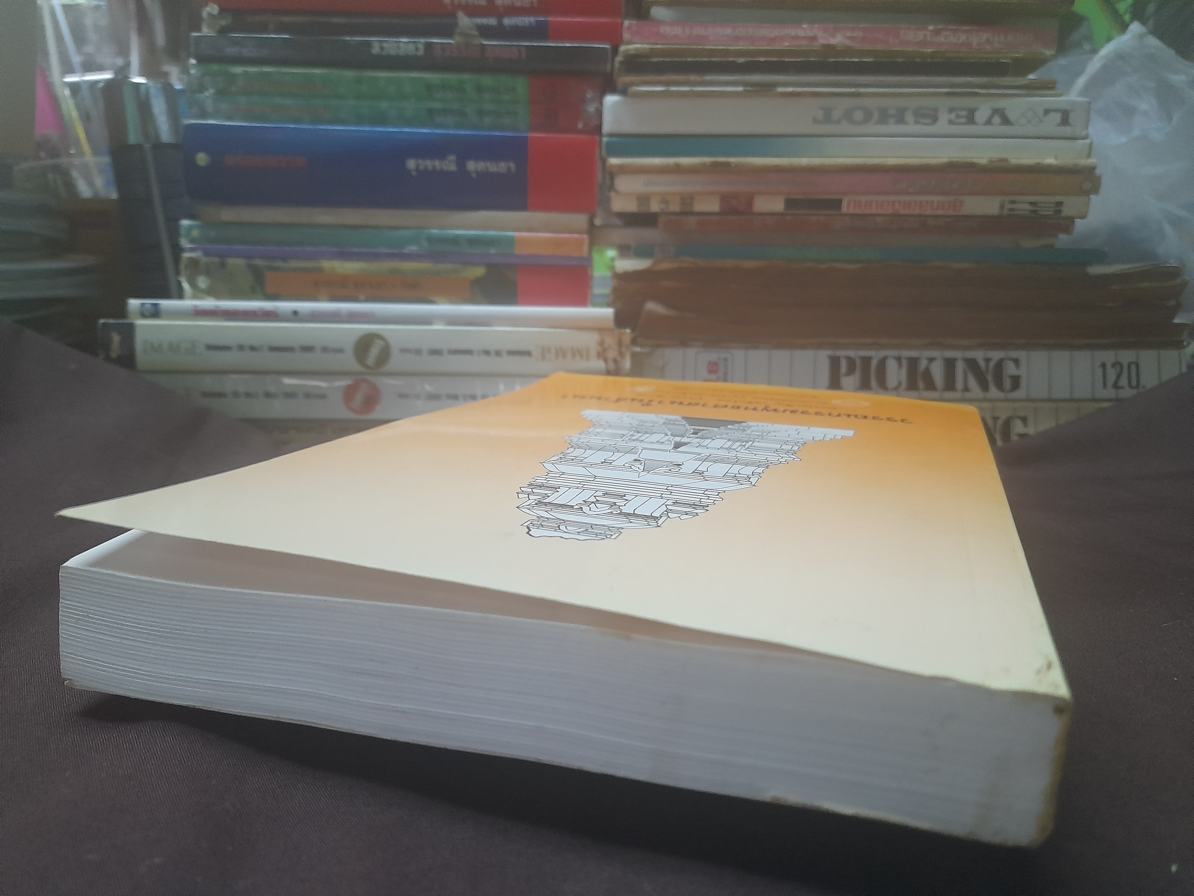 วรรณกรรมพุทธศาสนาในล้านนา โดย พรรณเพ็ญ เครือไทย