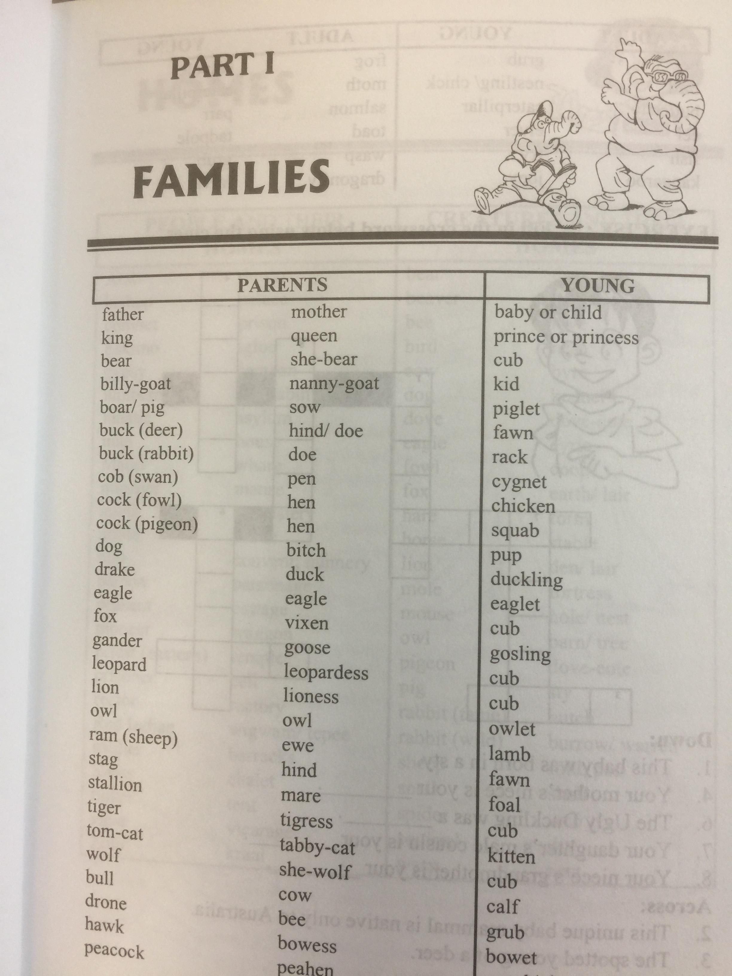 BASIC STUDENTS ‘ VOCABULARY is a most comprehensive guide to mastering the English language BY Sophie Leu . 0 กก.