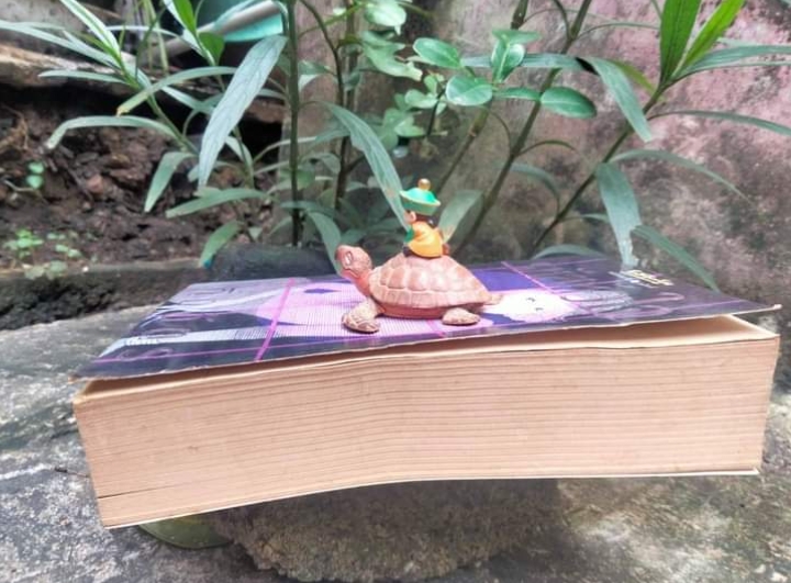 รหัสหัวใจ โดย กิ่งฉัตร