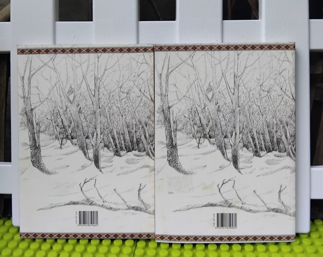 มองผ่านป่า ผู้ที่เห็นจากสรรพเสียง Sees Behind Trees โดย Michael Dorris วรรณกรรมแปลเยาวชน มือ 1