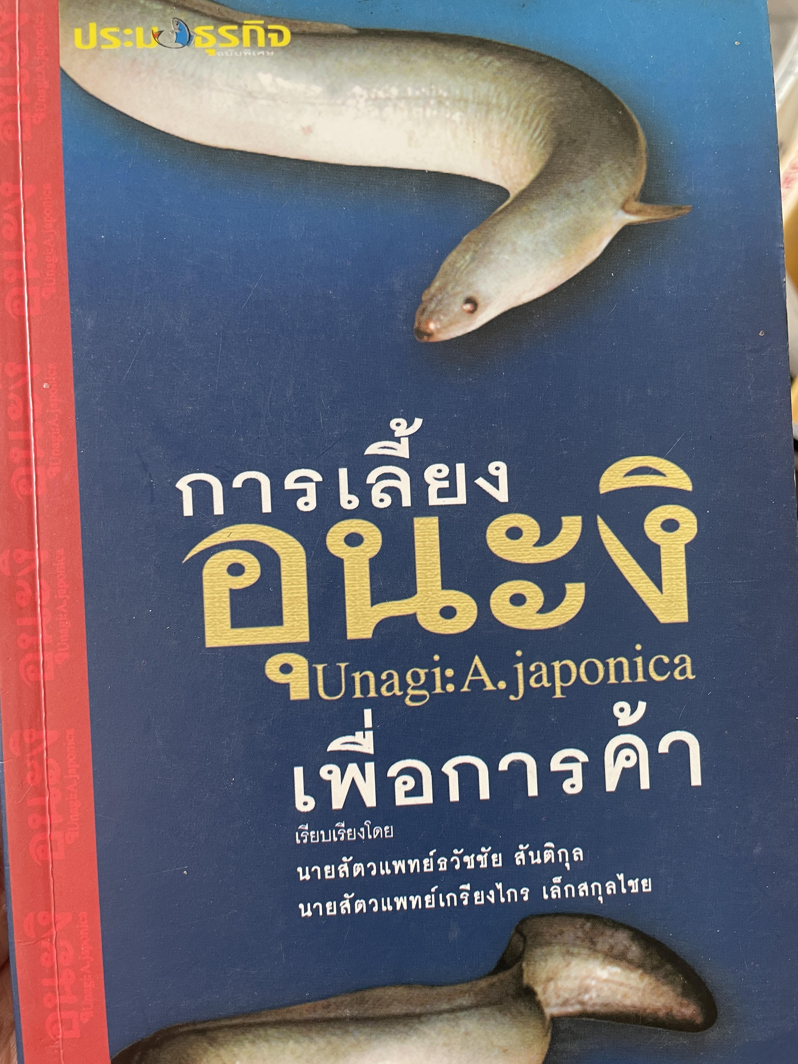 การเลี้ยง อุนะงิ เพื่อการค้า 500 กรัม
