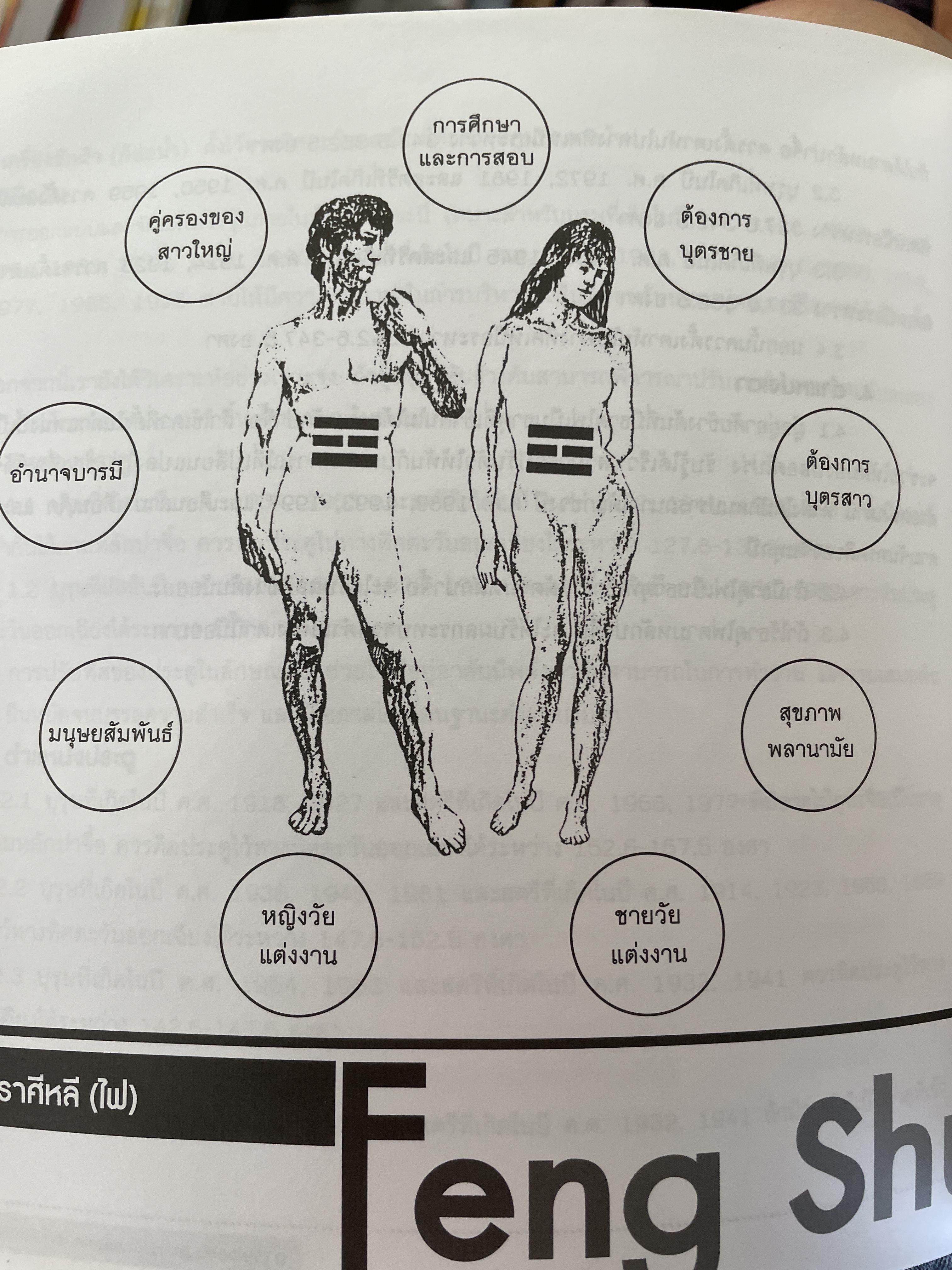 ฮวงจุ้ย ฉบับสมบูรณ์ ศาสตร์แห่งความสำเร็จ การออกแบบฮวงจุ้ยบ้าน เพื่อความสำเร็จในชีวิต CHINESE GEOMANCY. พลิกโชคชะตาให้ดีขึ้นจากคู่มือที่สามารถทำได้ด้วยตนเอง ผู้เขียน หลี่เหยินซุยและคณะ 1,800 กรัม