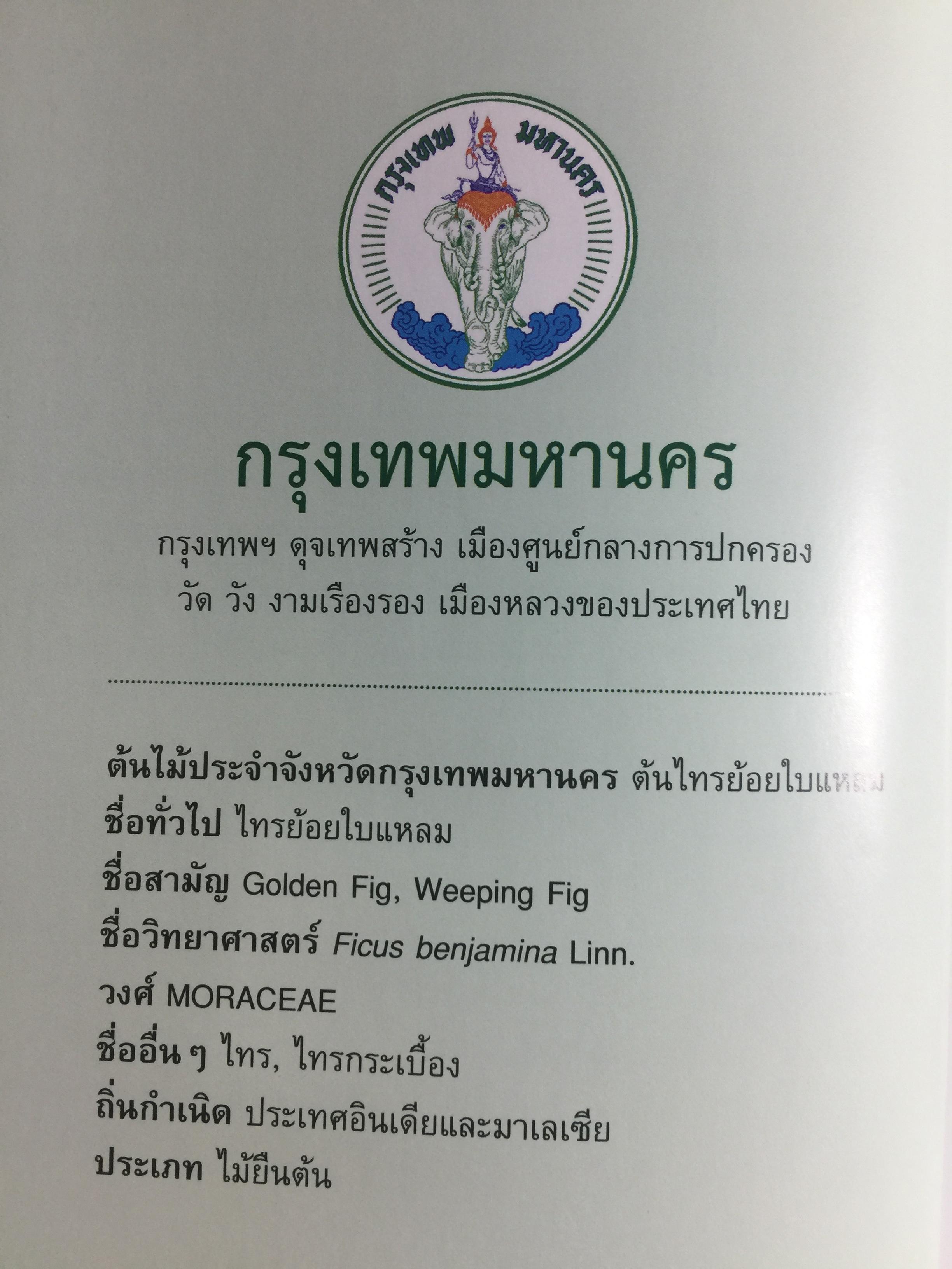 ยาสูบไทย หัวใจสีเขียว. พรรณไม้มงคลประจำจังหวัด สวนป่าเบญจกิติ 0 กก.