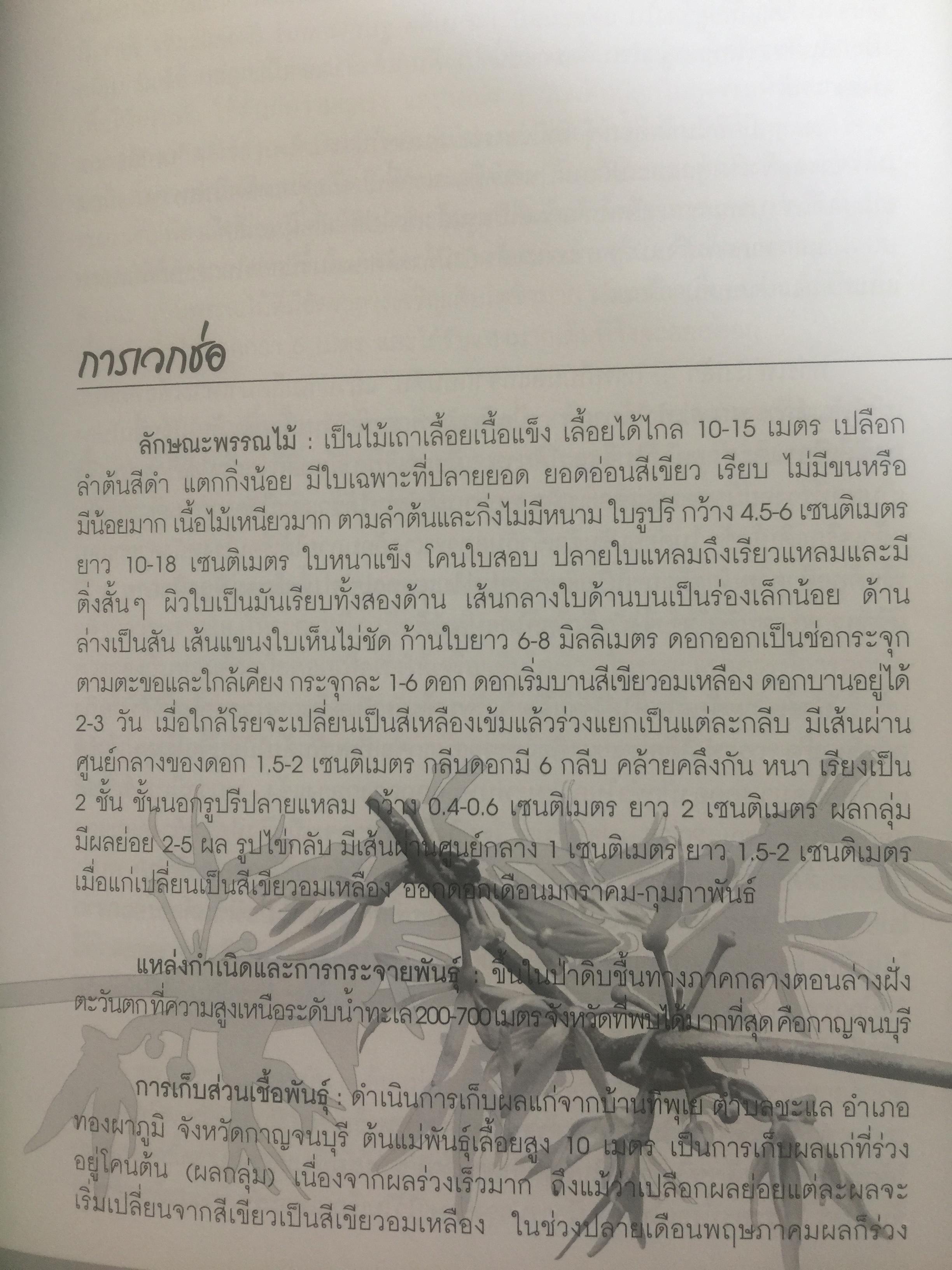 พรรณไม้ดอกหอมพื้นเมือง. ที่หายากและใกล้สูญพันธุ์ในประเทศไทย. ผู้เขียน ดร.ปิยะ เฉลิมกลิ่น 0 กก.