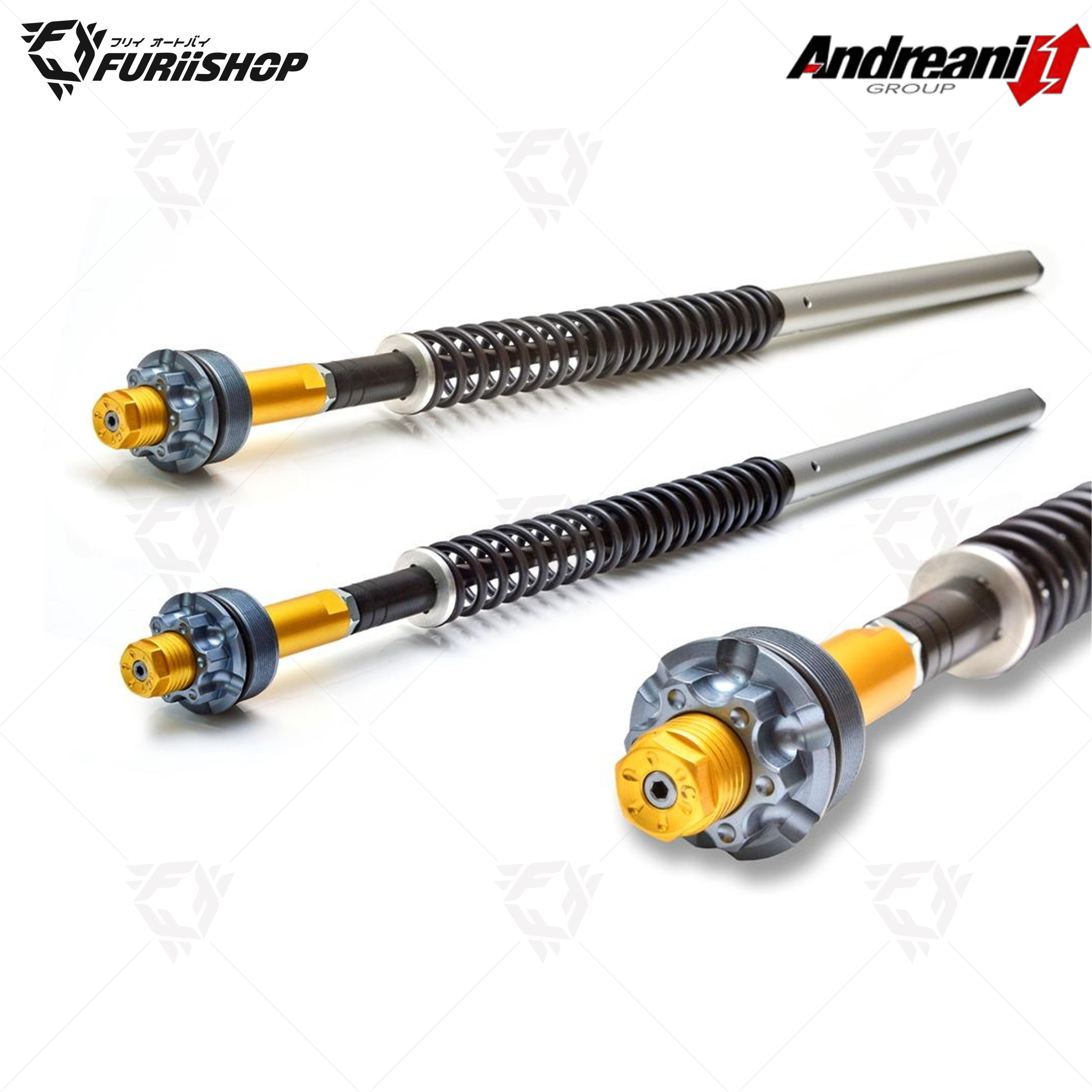 สปริงโช๊คหน้า Andreani For : MONSTER 821/1200