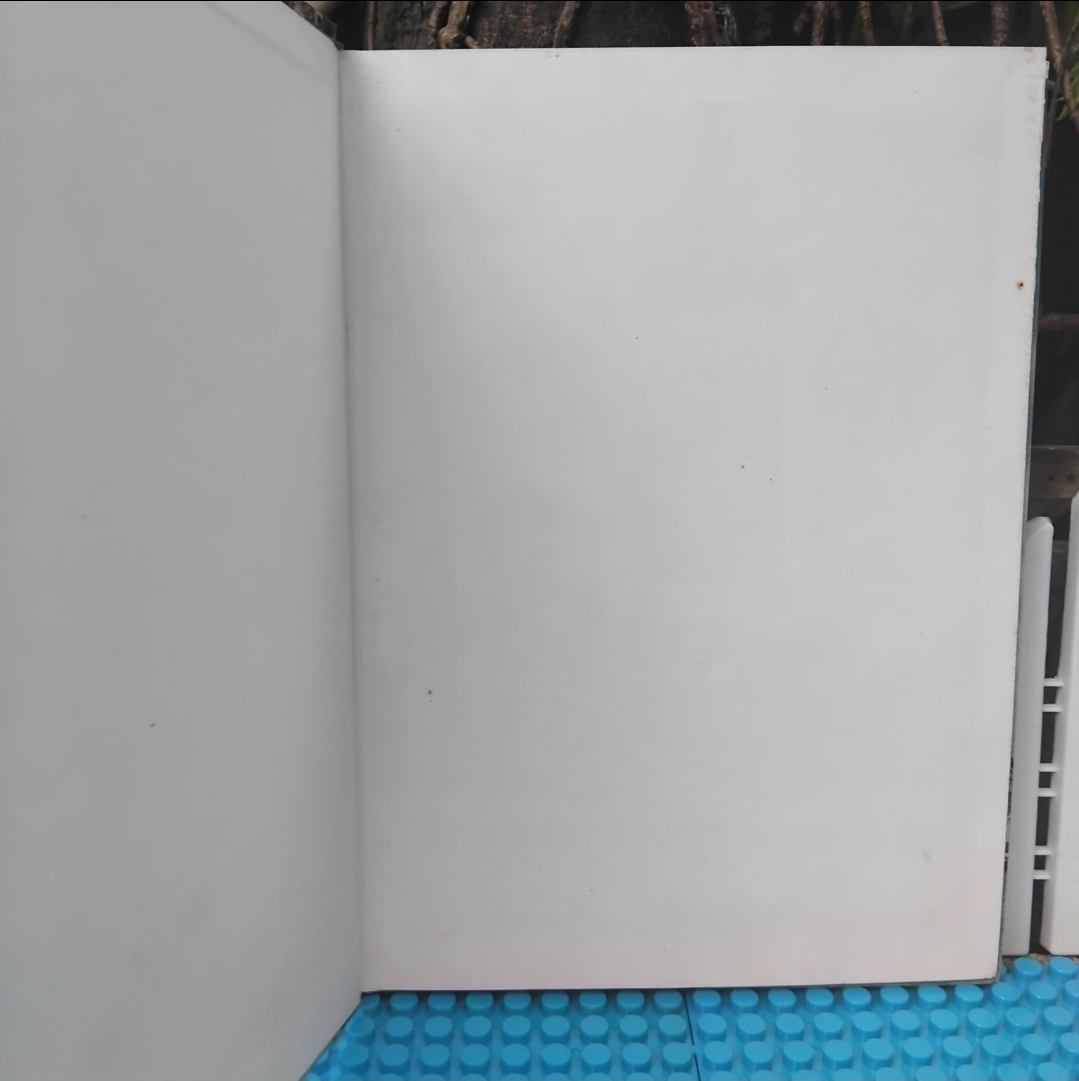 พระพุทธรูปและพระพิมพ์ยอดนิยม โดย บุญเสริม ศรีภิรมย์ ภาพและคำบรรยายกว่า 104 รายการ