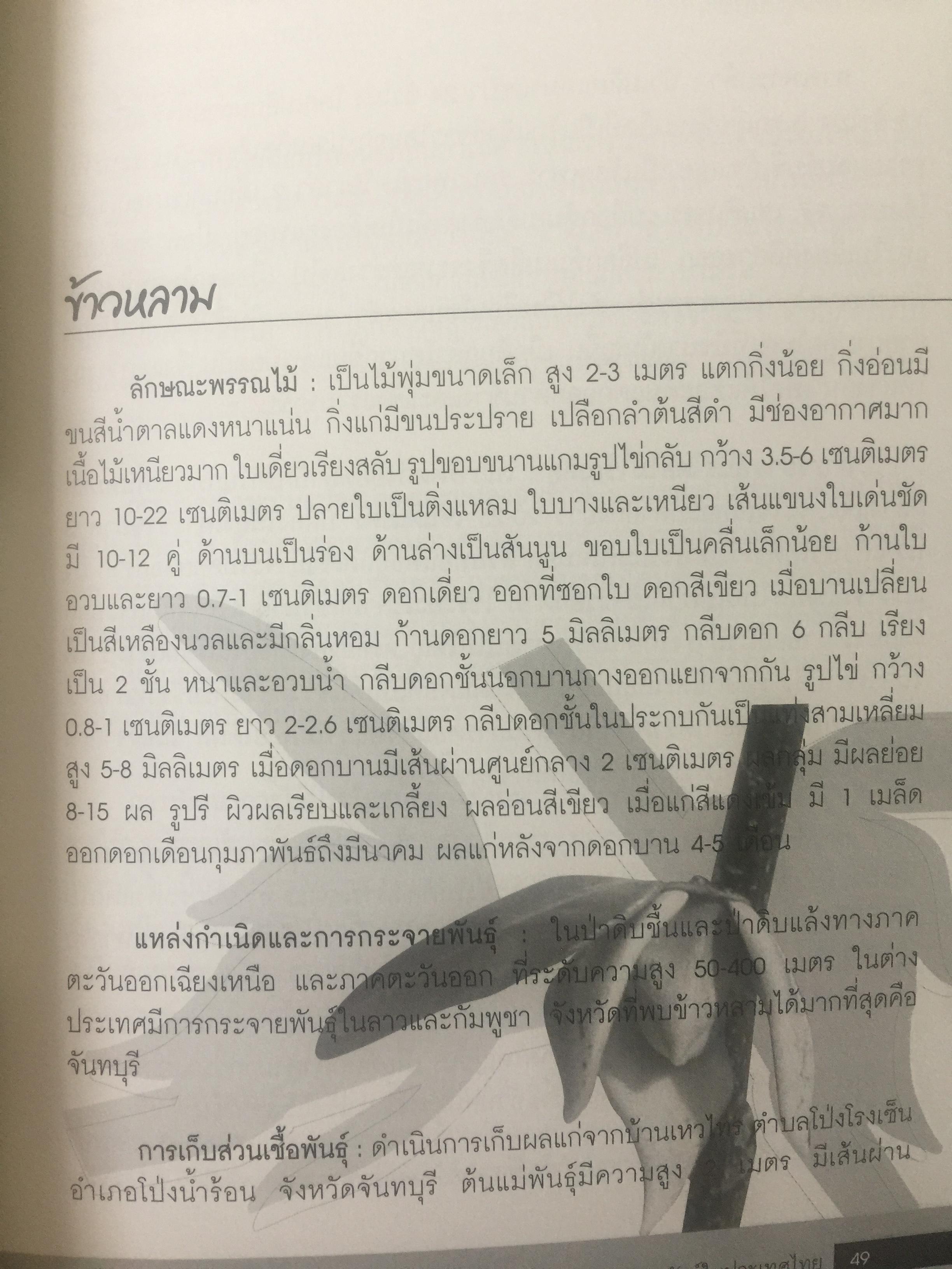 พรรณไม้ดอกหอมพื้นเมือง. ที่หายากและใกล้สูญพันธุ์ในประเทศไทย. ผู้เขียน ดร.ปิยะ เฉลิมกลิ่น 0 กก.