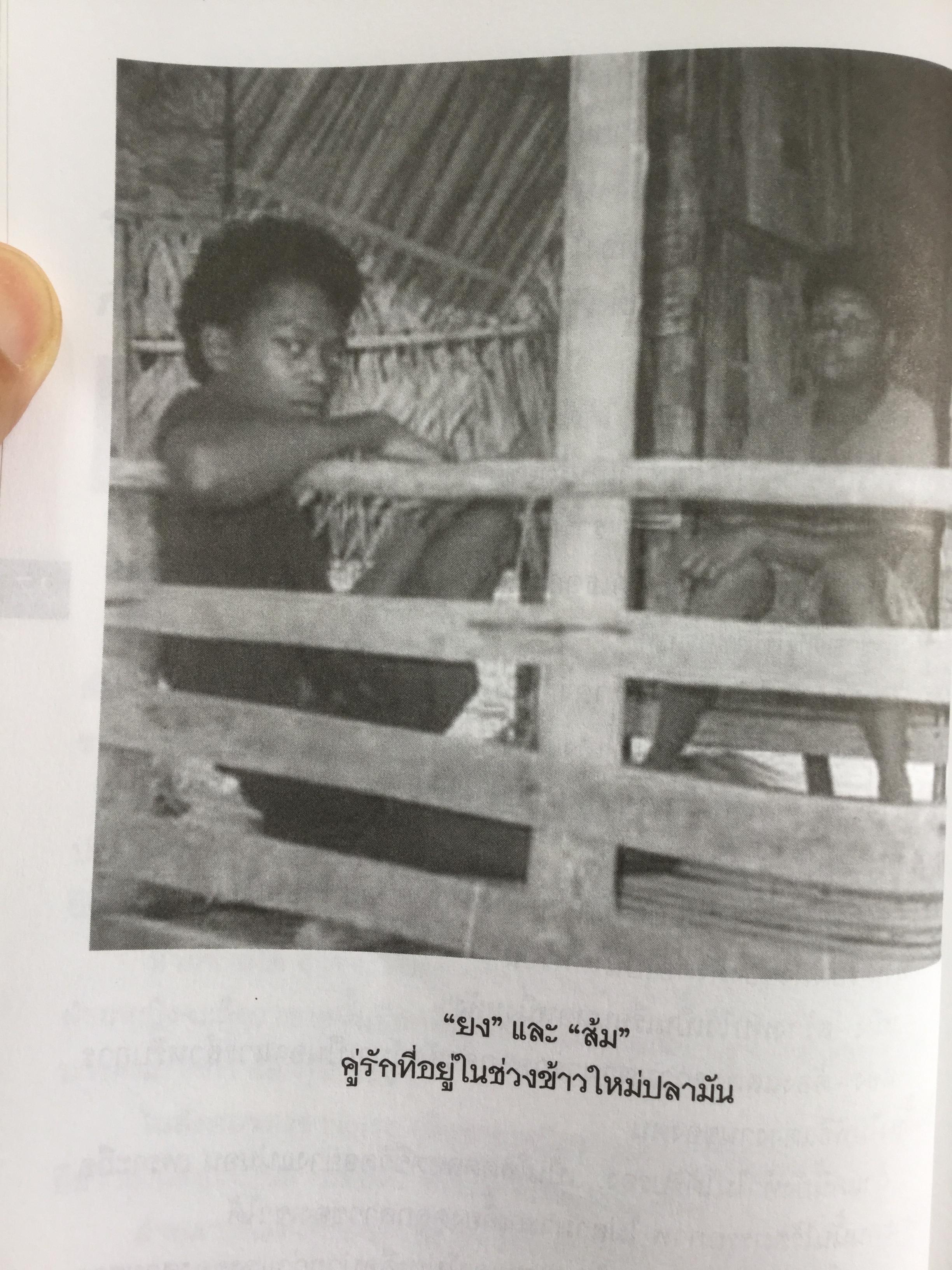 เงาะป่า-ซาไก "นิเชา" เมืองไทย ชนป่าที่กำลังสูญสลาย. ผู้เขียน วันเฉลิม จันทรากุล 700 กรัม