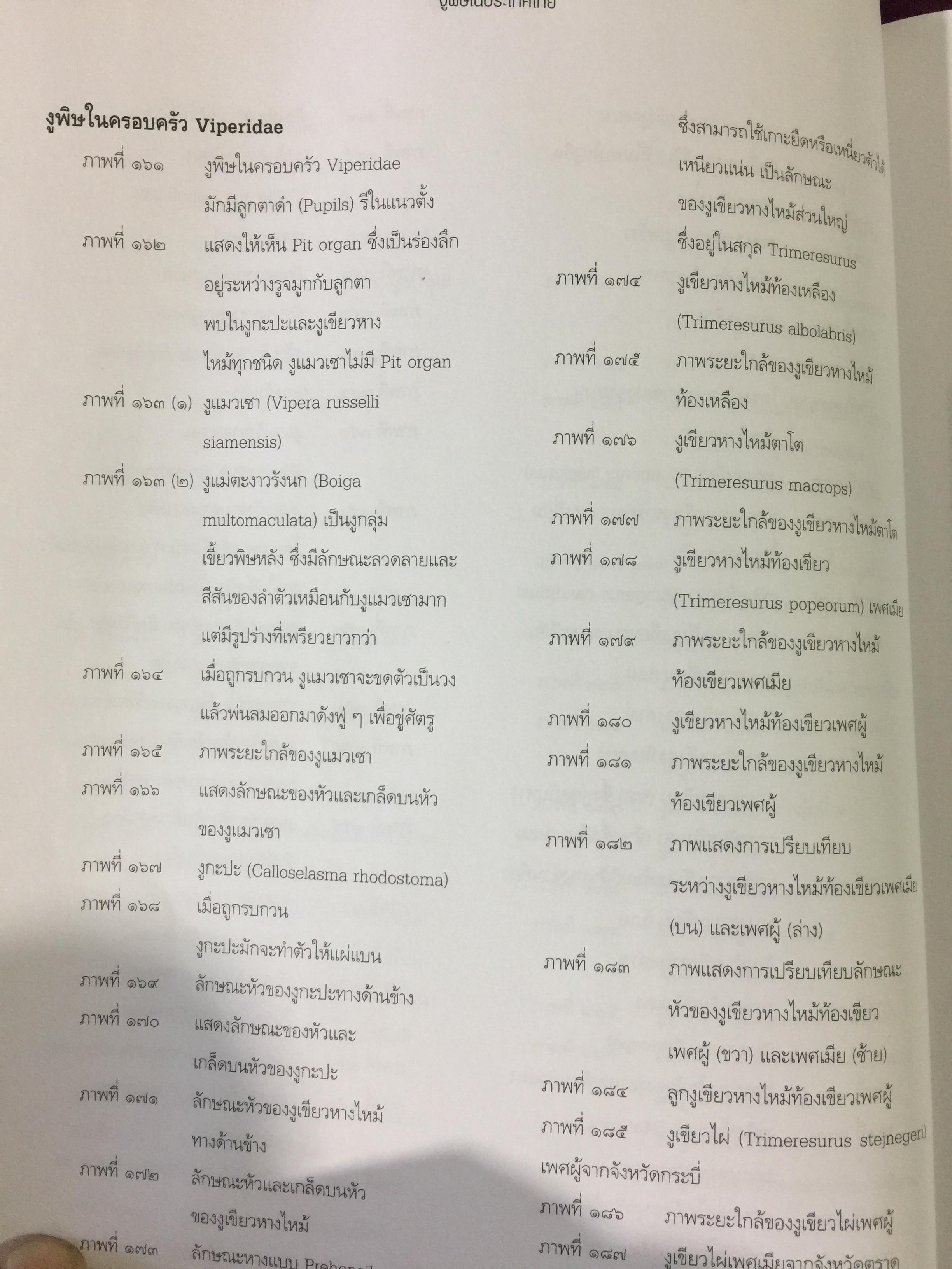 งูพิษ ในประเทศไทย ทุกแง่มุมชีวิตและลักษณะนิสัยของงูพิษ โดยผู้เชี่ยวชาญเรื่องงูมากที่สุดในประเทศไทยผู้เขียน ไพบูลย์ จินตกุล 0 กก.