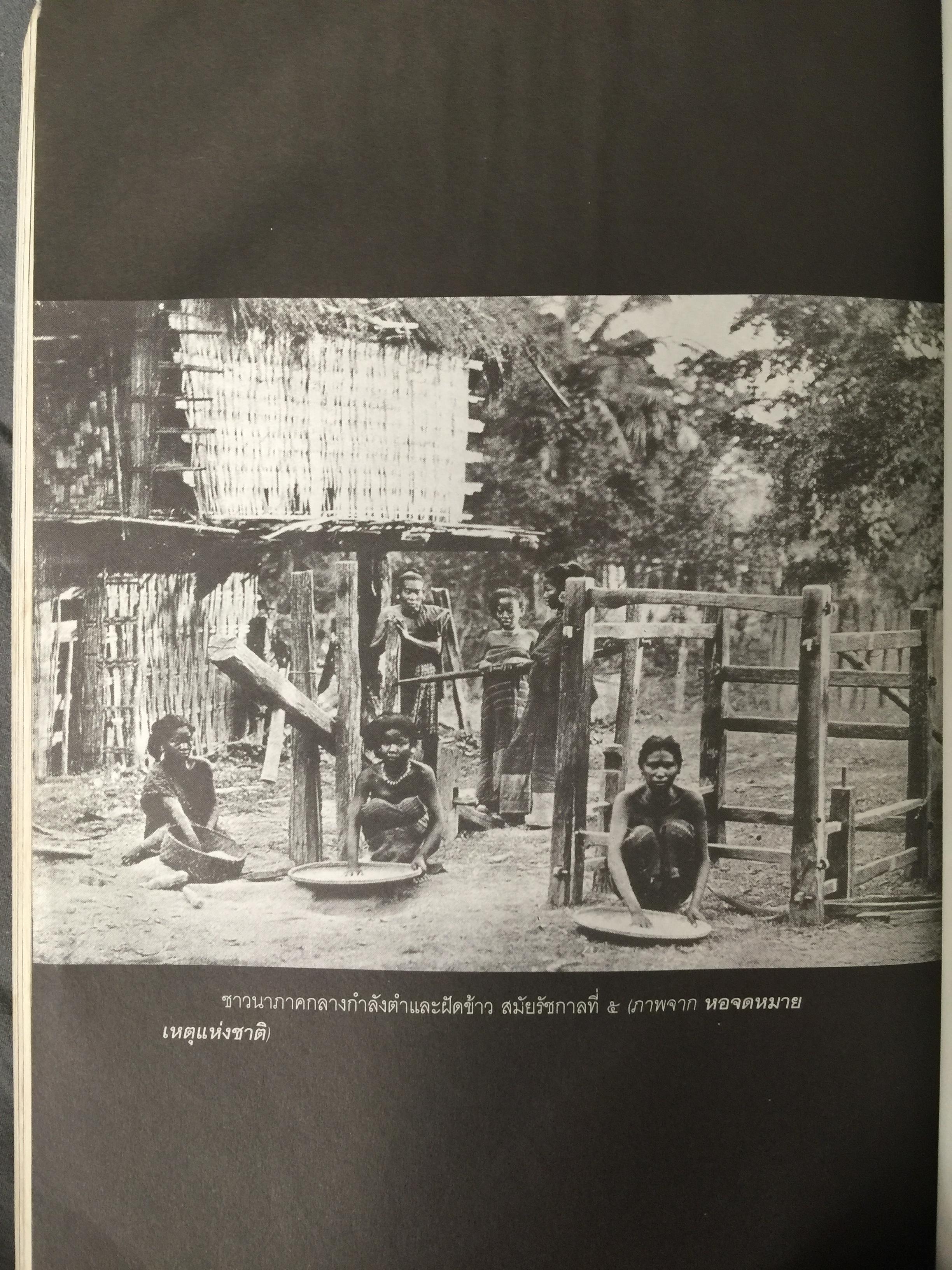 ประวัติศาสตร์เทคโนโลยีการเกษตร. หนังสือชุด ศิลปวัฒนธรรมฉบับพิเศษ ผู้เขียน สุวิทย์ ธีรศาศวัต_ วิวัฒนาการและผลกระทบของเทคโนโลยีการเกษตร จากสมัยสุโขทัย ถึงสมัย รัชกาลที่ 5. 0 กก.