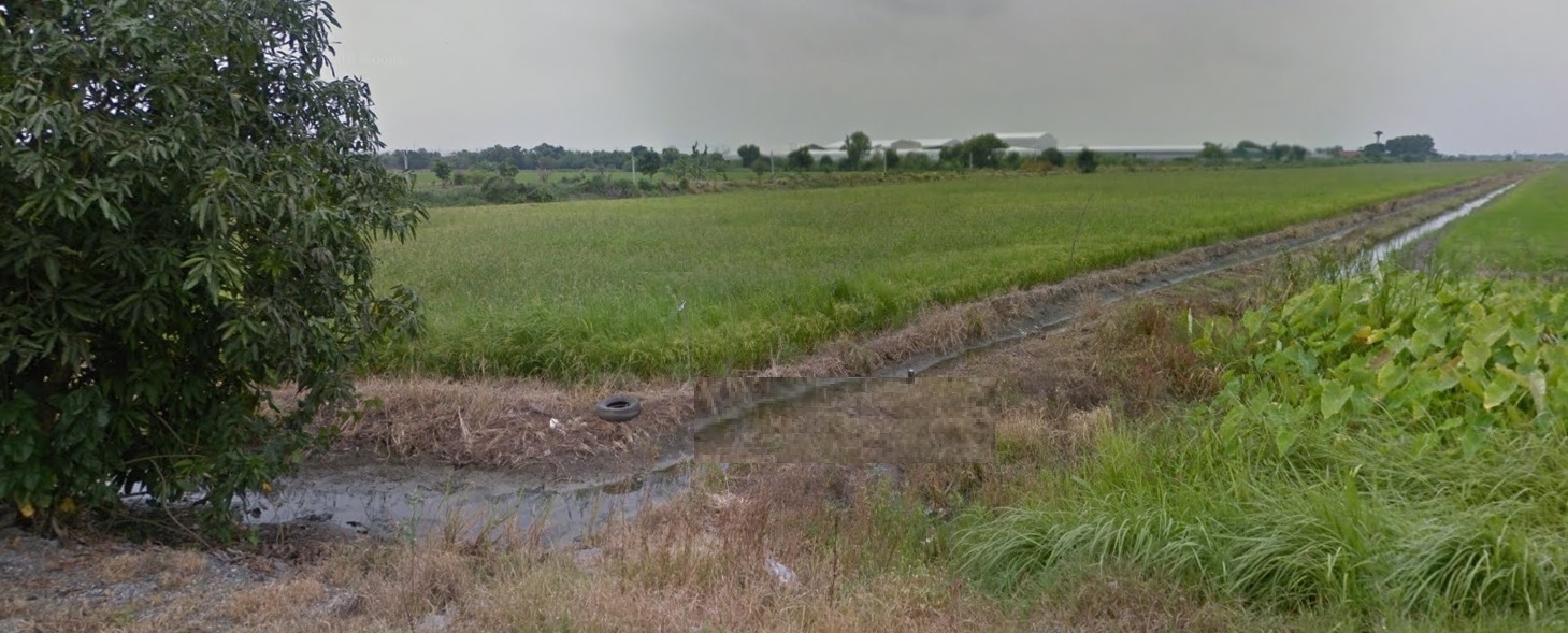 0431 ขายที่ดิน 46 ไร่ ใกล้ถ.ลำลูกกา (คลอง 11) อ.ลำลูกกา ปทุมธานี