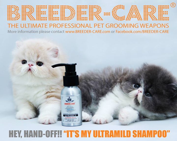 SHOW & TRAVEL KIT (LH)