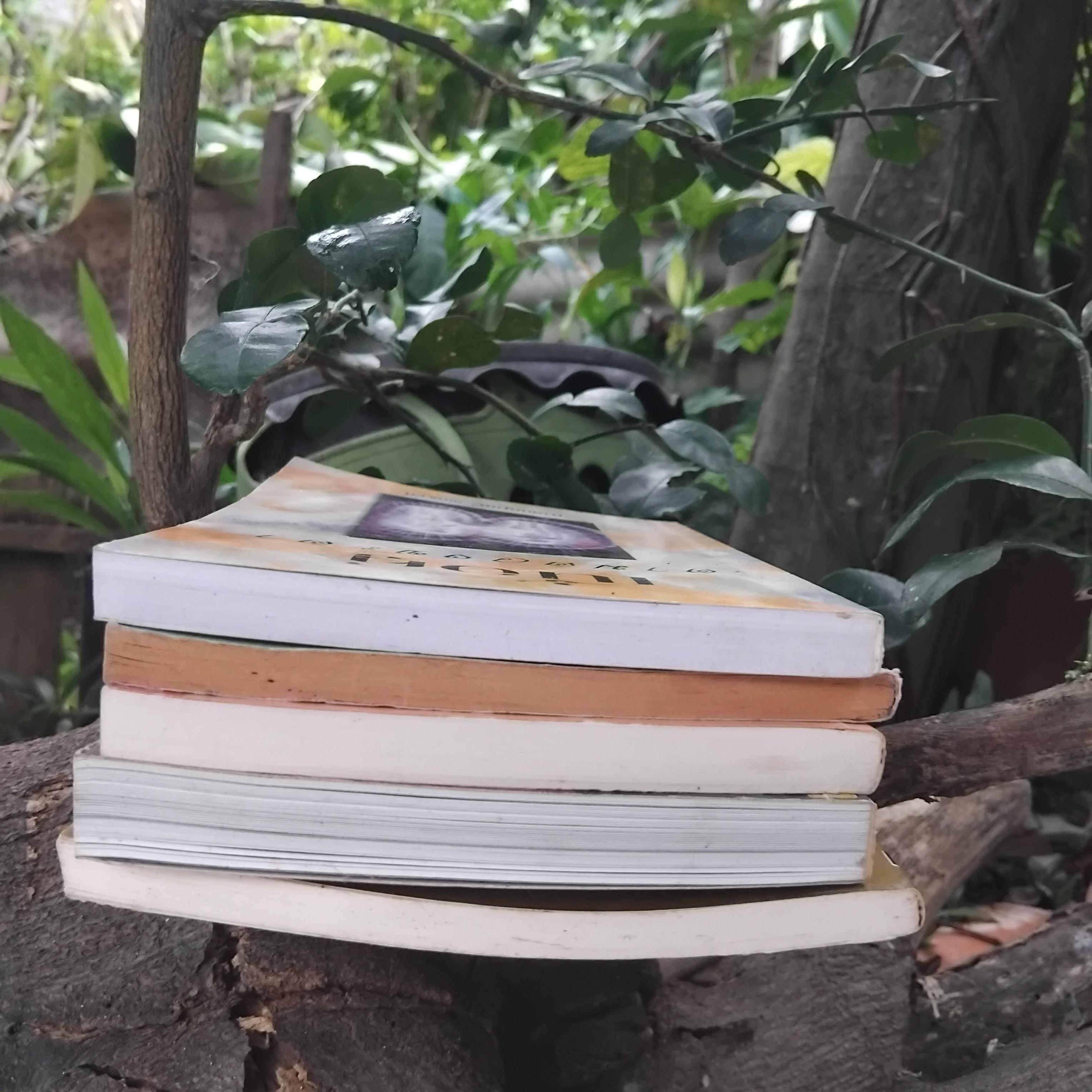 รวมหนังสือโหราศาสตร์ดูเนื้อคู่ ไพ่พยากรณ์ ไพ่ป๊อกและไพ่ยิปซีครับ สภาพสวยงามทุกเล่มครับ