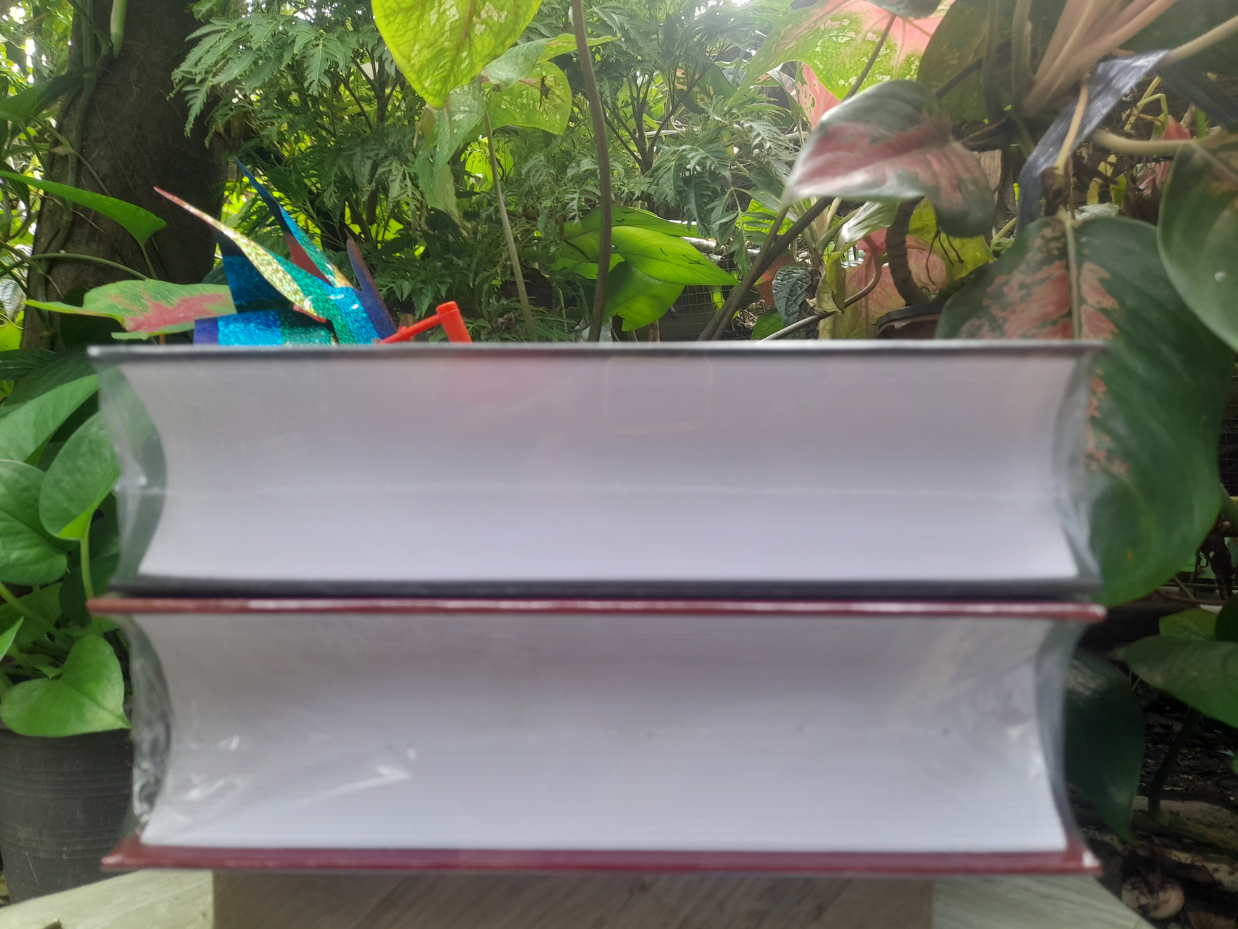 ตำราพระเวทพิสดาร ภาค 1 และ 2 ตำรับเวทย์มนต์สุดยอดของไทย หนังสือมือหนึ่งครับ