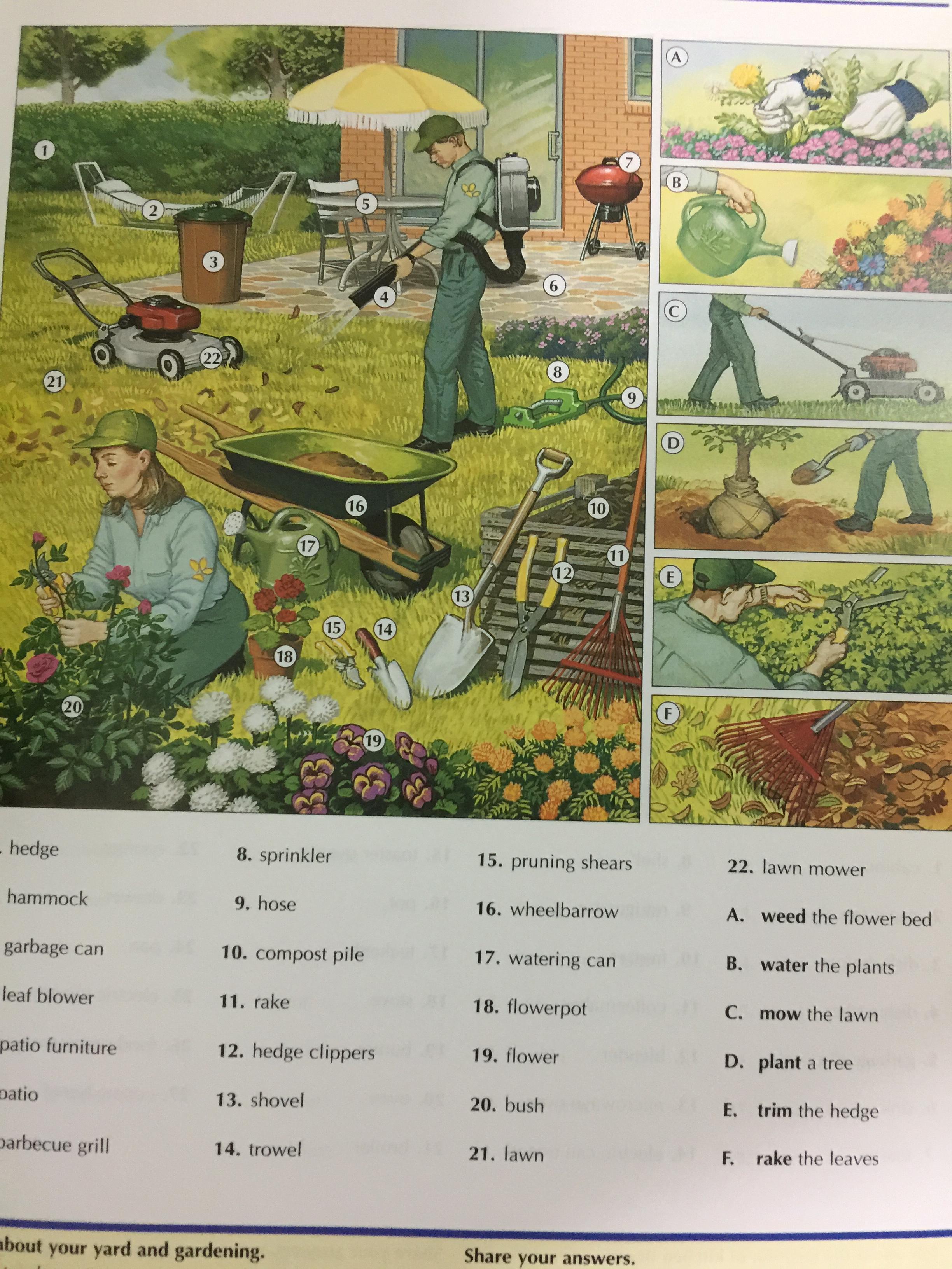 THE OXFORD. Picture Dictionary 0 กก.