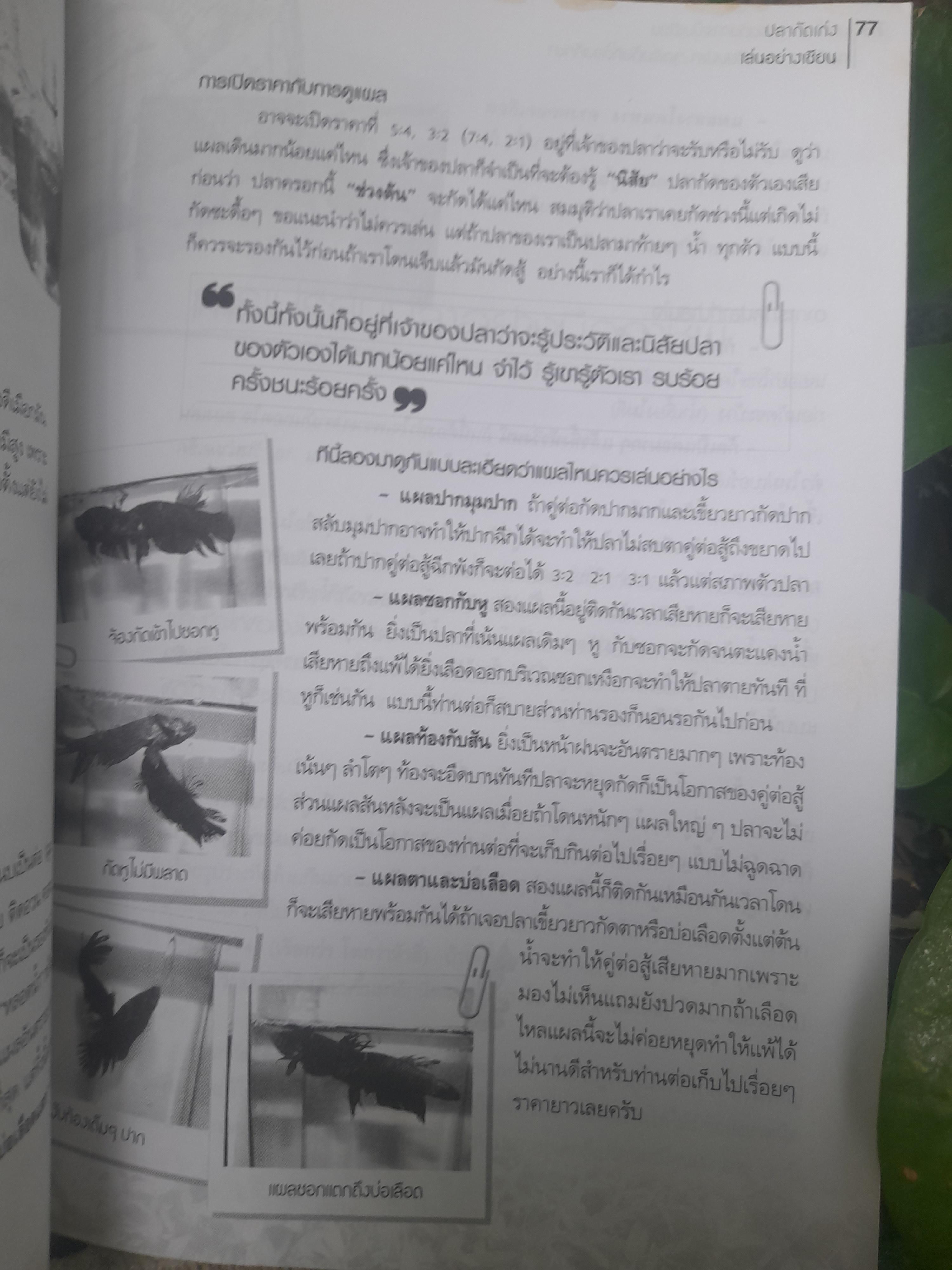 ปลากัดเก่ง เล่นอย่างเซียน โดย รัตนชัย ม่วงงาม (เปี๊ยก ปลากัด) หนังสือเพื่อคนรักปลากัดเก่ง