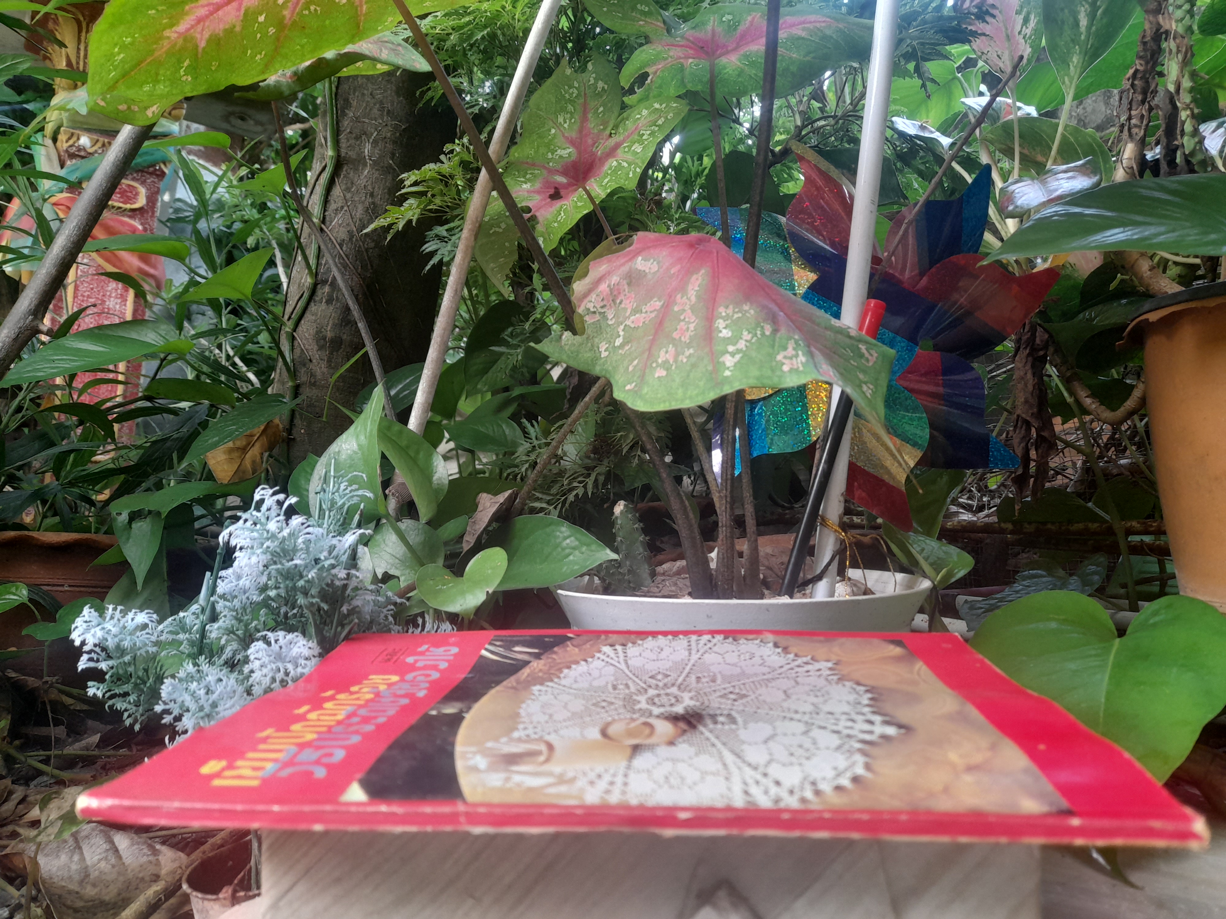 หนังสือเย็บปักถักร้อย และ วิธีประดิษฐ์ของใช้ โดย ดรรชนี