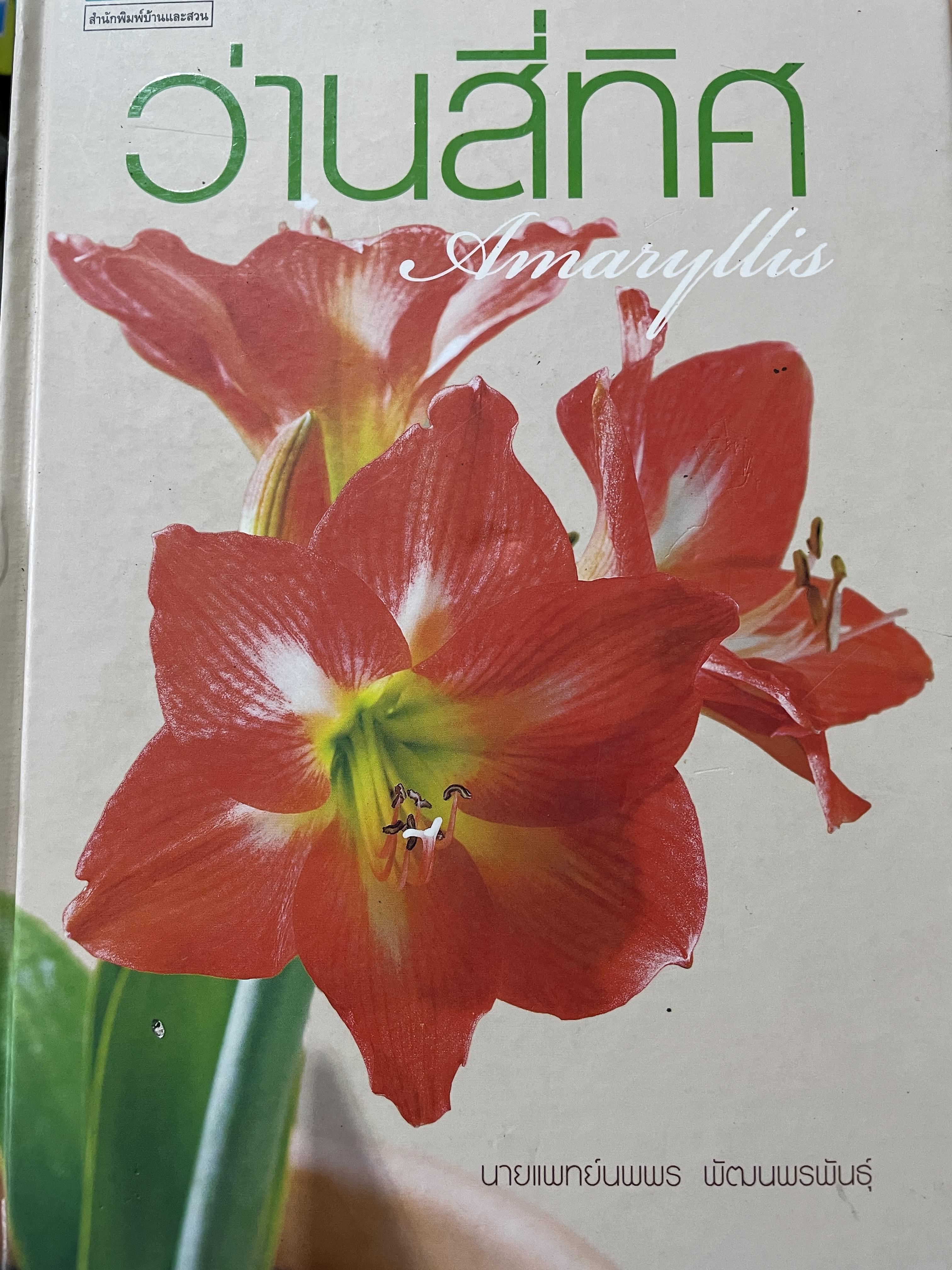 ว่านสี่ทิศ AMARYLLIS. โดย นายแพทย์นพพร พัฒนพรพันธุ์ 1 กก.