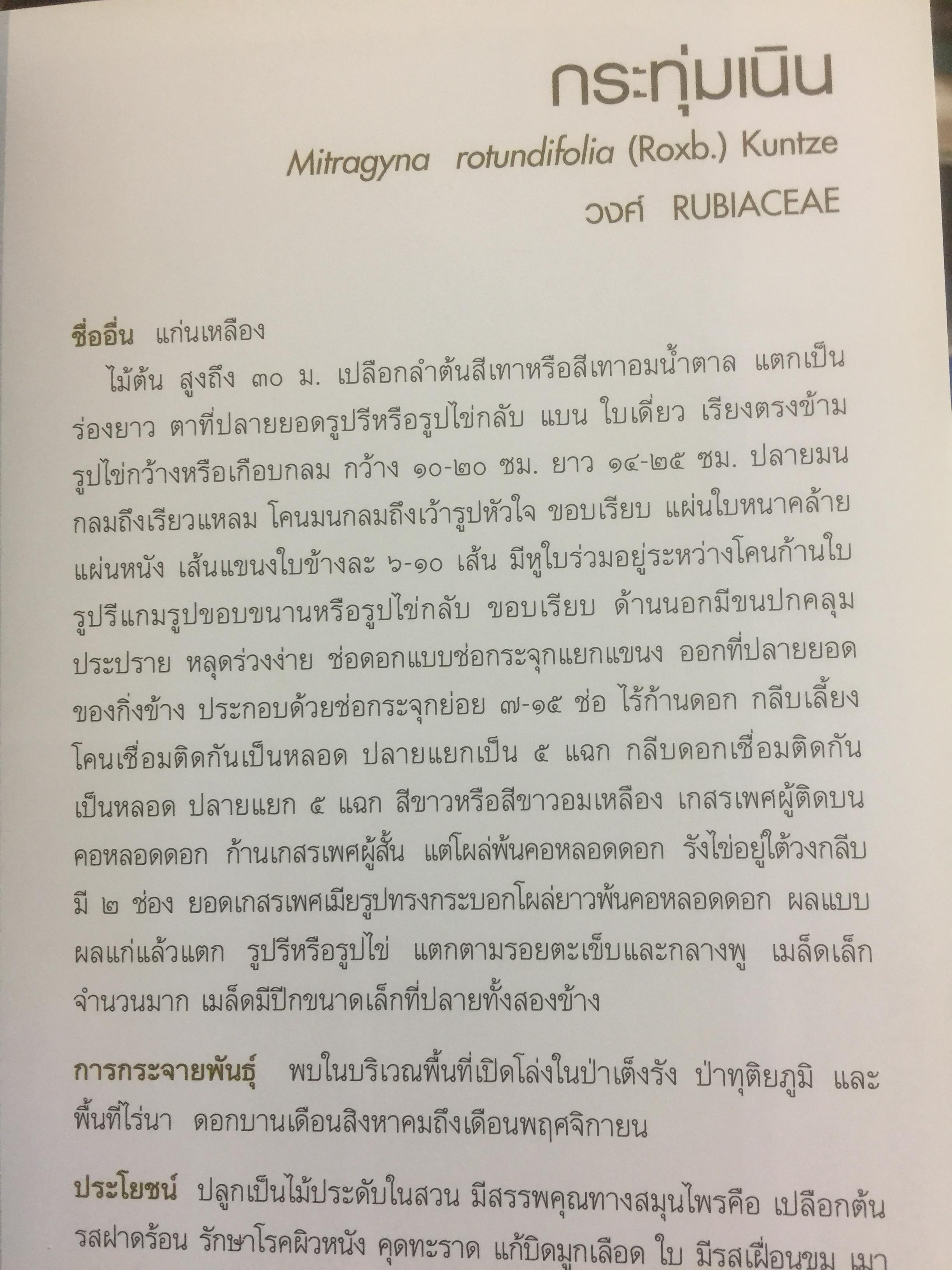 พรรณไม้พื้นเมืองไทย จากเขาใหญ่สู่ลำน้ำโขง ผู้จัดทำ กรมวิชาการเกษตร 0 กก.