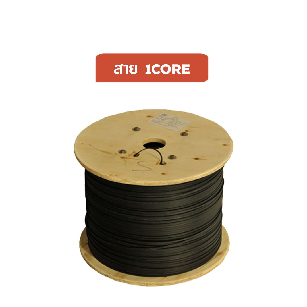 สายไฟเบอร์ 2 Core