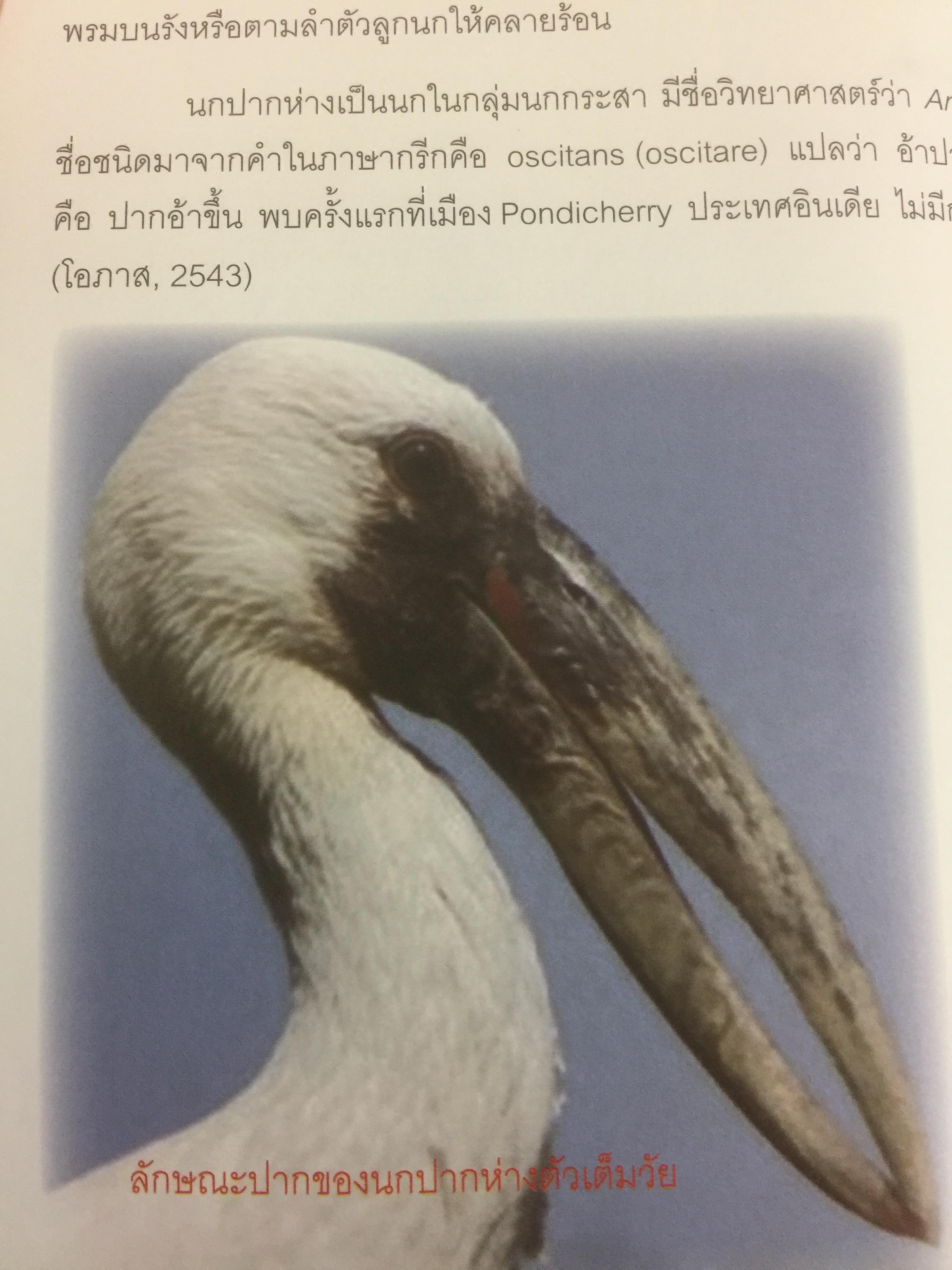 สาระความรู้ นกปากห่าง ในประเทศไทย. ผู้เขียน ไกรรัตน์ เอี่ยมอำไพและคณะ 0 กก.