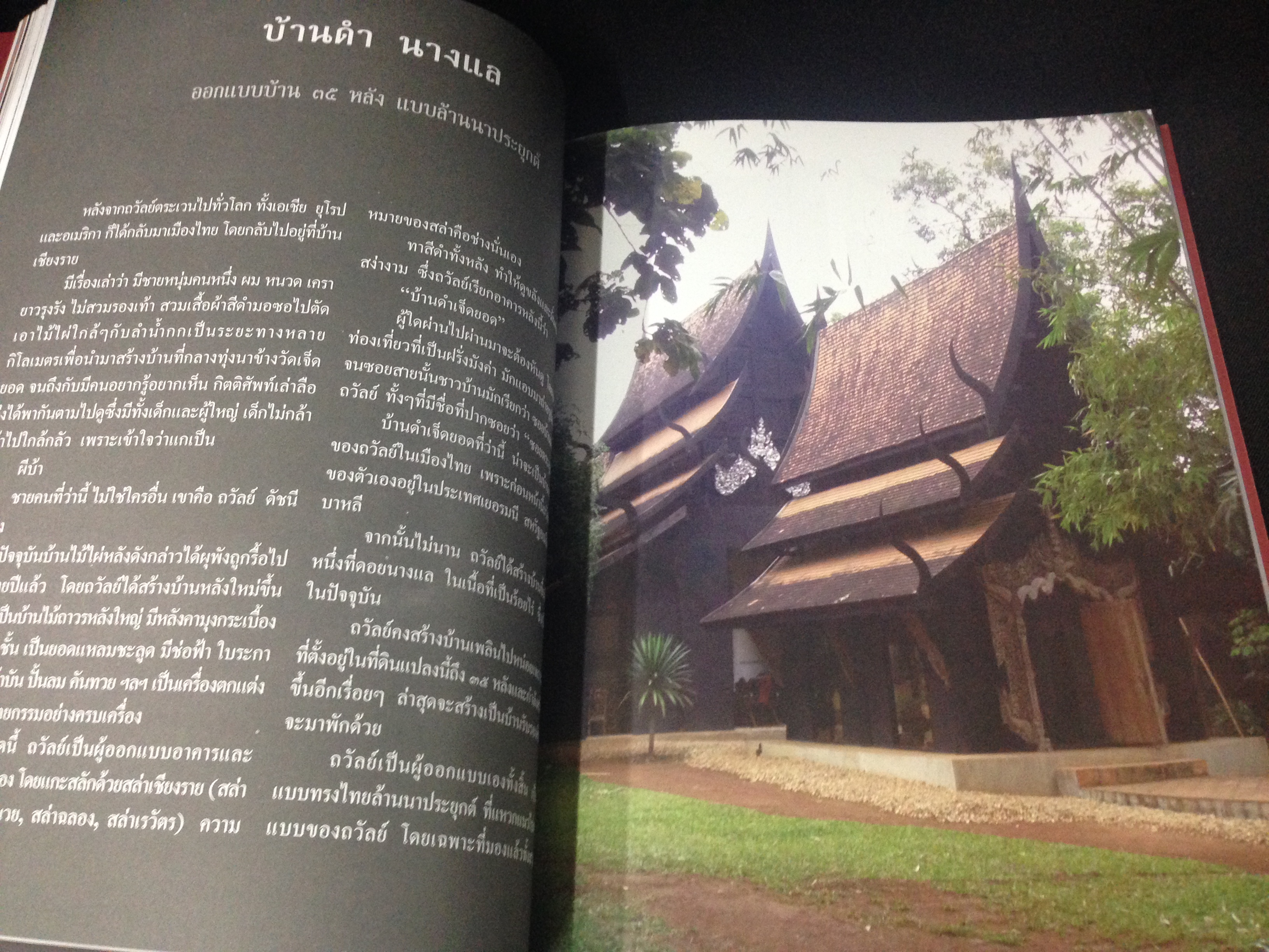 มนุษย์ต่างดาว ถวัลย์ ดัชนี