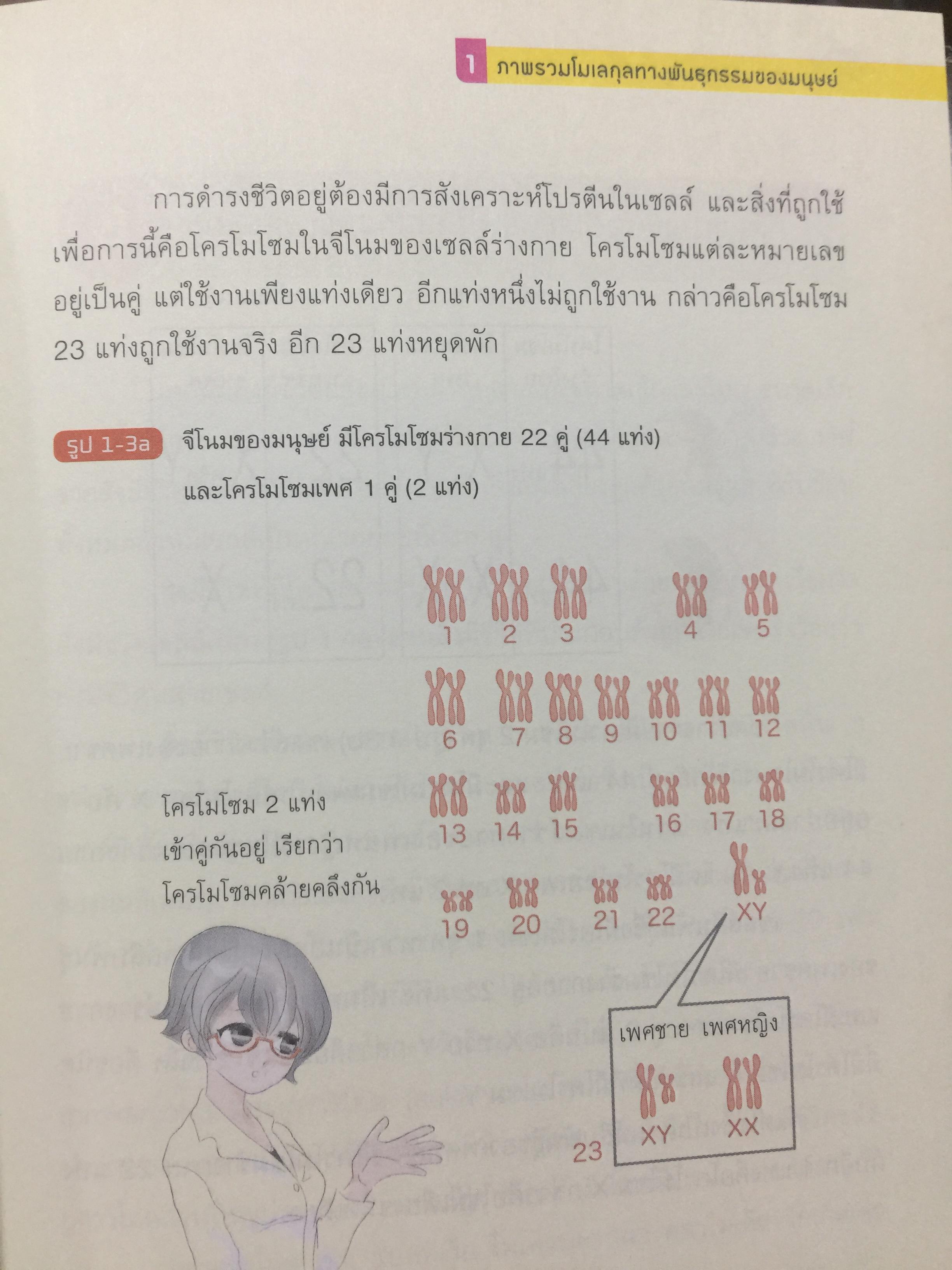 DNA ฉบับการ์ตูน. ความรู้พื้นฐานเรื่อง DNA. RNA สารพันธุกรรมในร่างกายมนุษย์ ฉบับอ่านสนุก เข้าใจง่าย อ่านสนุก โดย Satoshi. Ikuta. แปลและเรียบเรียงโดย รศ.ดร.ศักดา ดาดวง 0 กก.