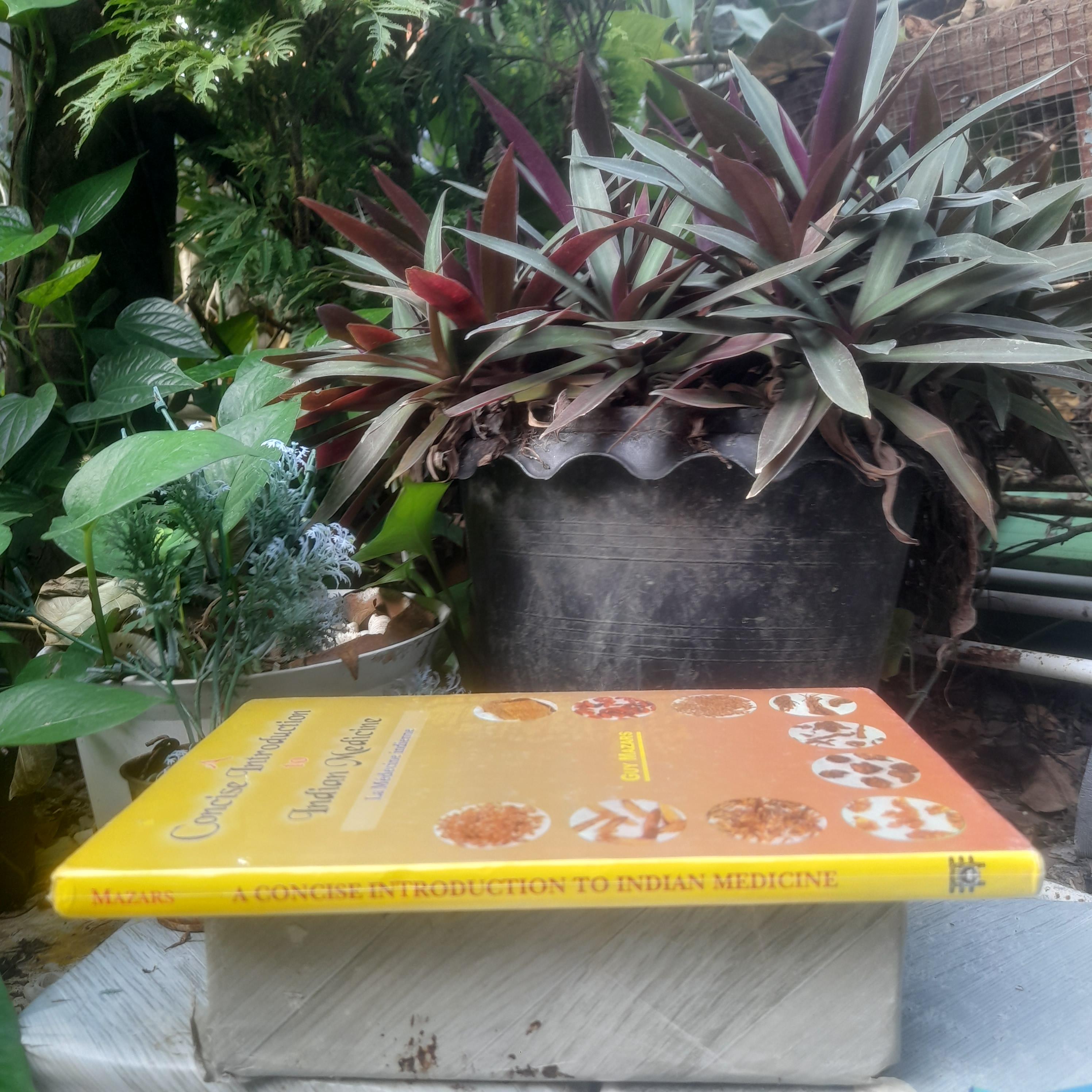 A Concise Introduction to Indian Medicine ความรู้เบื้องต้นเกี่ยวกับการแพทย์อินเดียโดย Guy Mazars หนังสือนำเข้า มือ1 ในซีลครับ