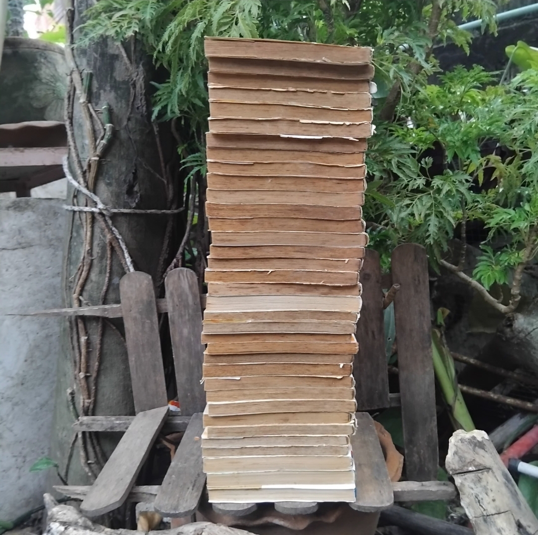 ได ตะลุยแดนเวทย์มนต์ เล่ม 1-37 จบ ขาด34-35 สะสมทุกเล่ม ไม่ปั๊ม ไม่แม็กซ์ มีตำหนิ