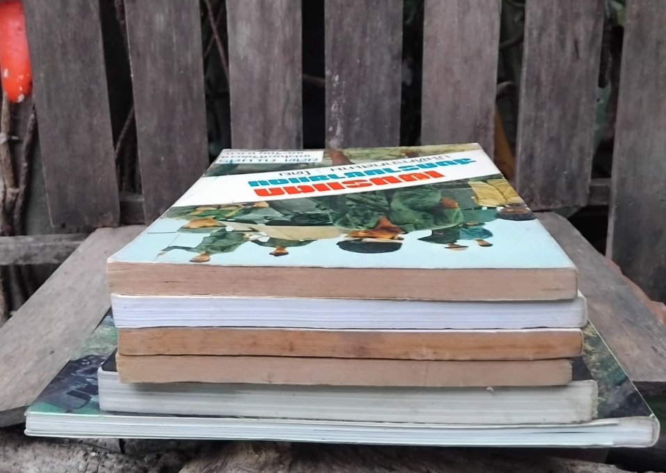 รวมหนังสือเกี่ยวประเทศเพื่อนบ้าน การรบ การทหาร ศิลปะ ประวัติศาสตร์ มือ1