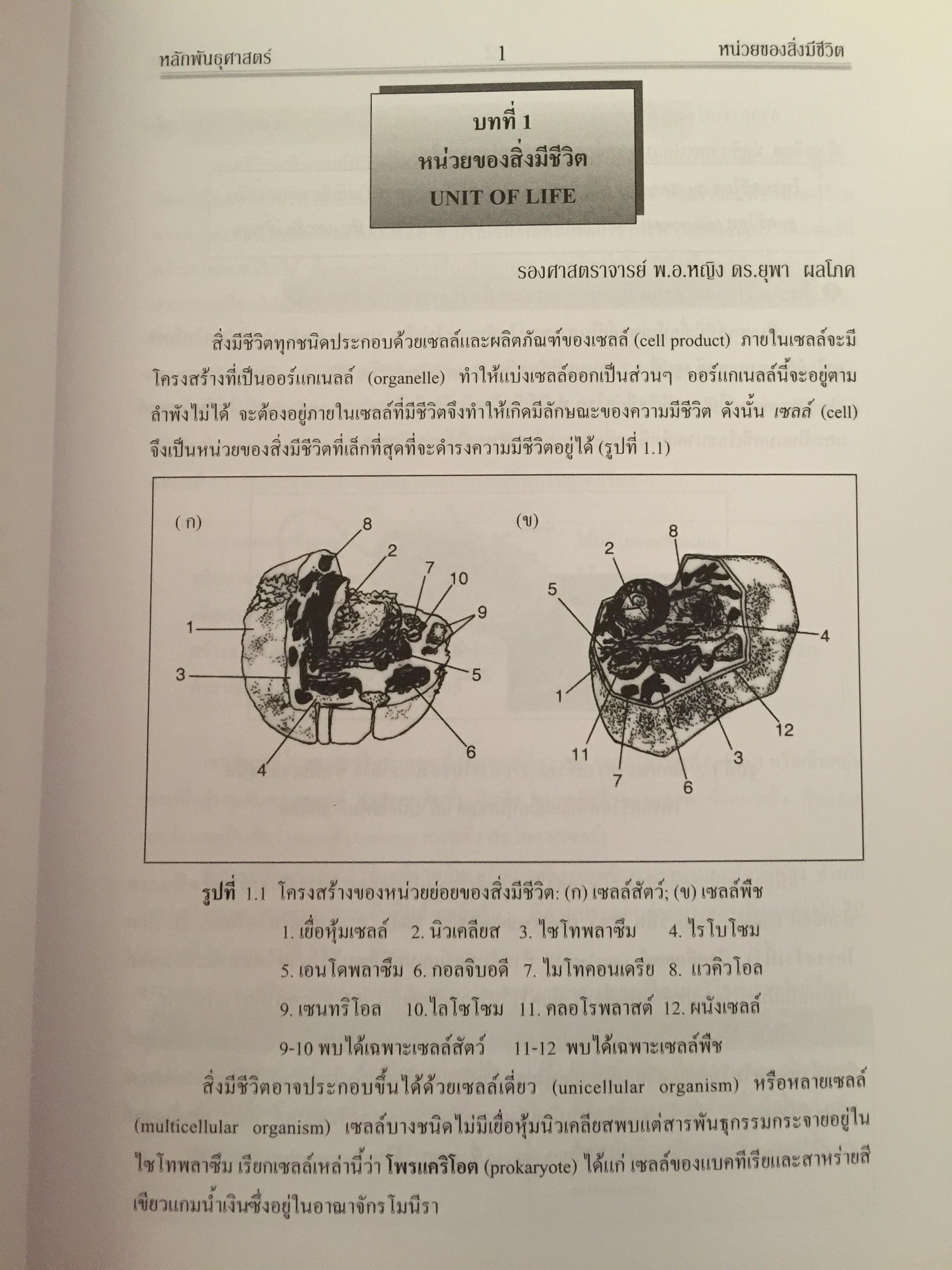 หลักพันธุศาสตร์. จัดทำโดย สมาคมพันธุศาสตร์แห่งประเทศไทย. 0 กก.