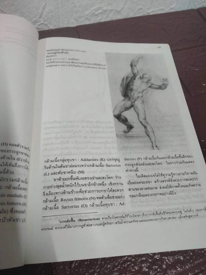 บทเรียนกายวิภาคจากศิลปินเอก