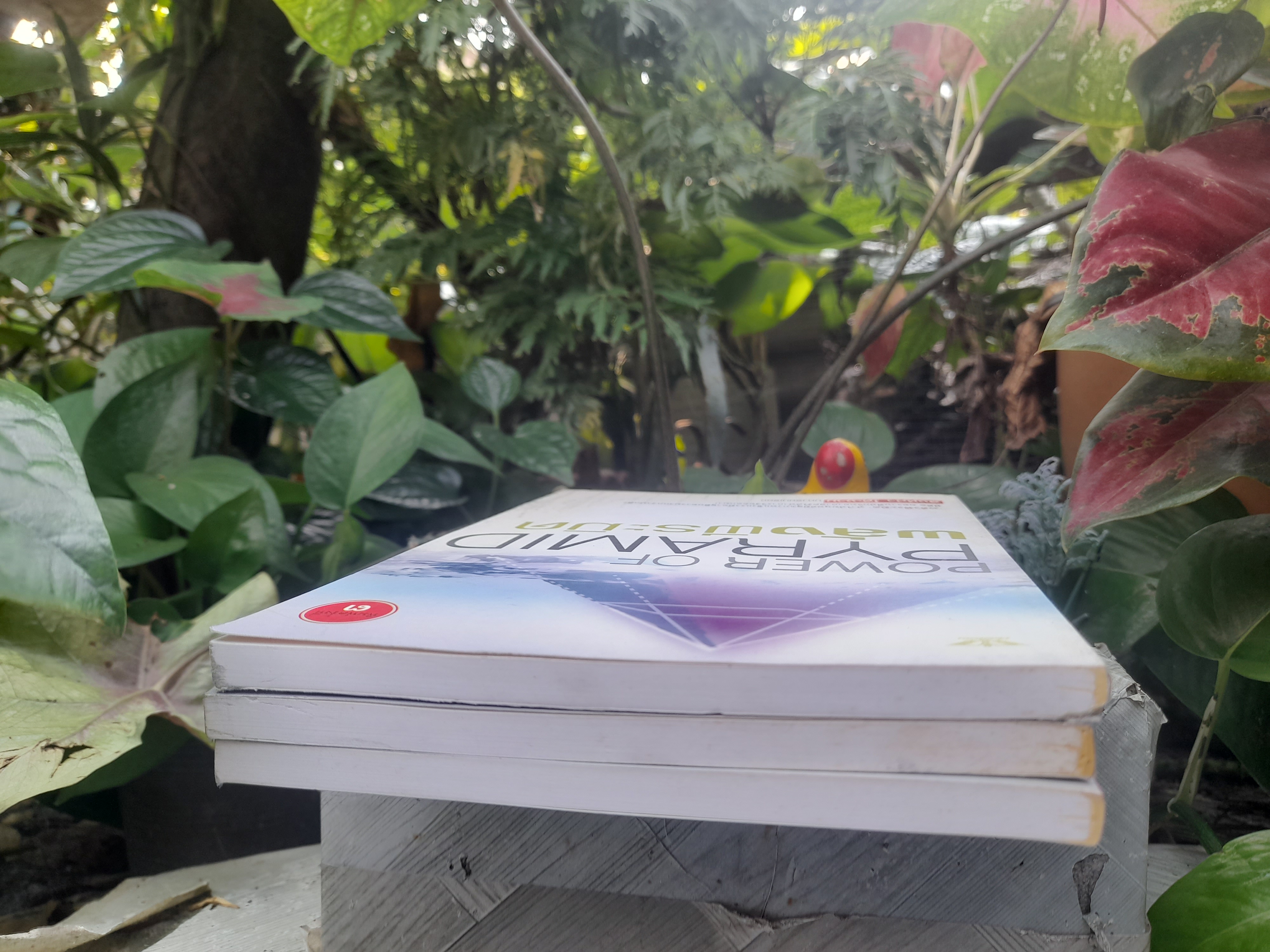 พลังพีระมิด Power of PYRAMID โดย สิงห์คำ โต๊ะงาม งานเขียนที่นักวิทยาศาสตร์ได้ทำวิจัยออกมา