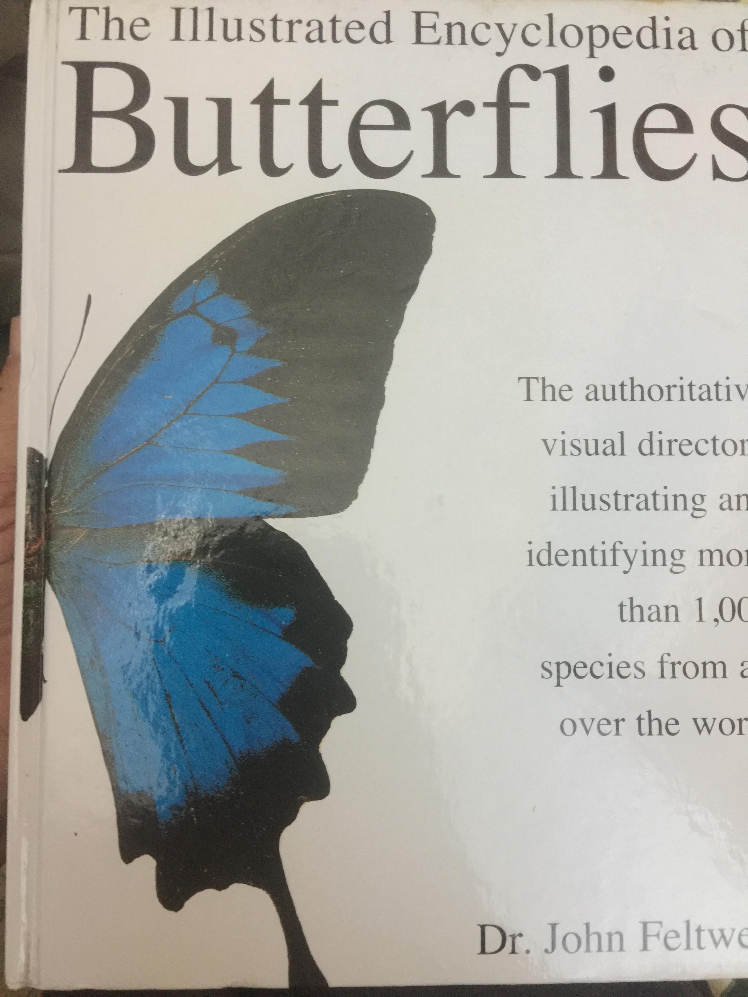 The Illustrated Encyclopedia of BUTTERFLIES The authoritative visual directory illustrating and identifying more than 1,000 species from all over the world. ผู้เขียน Dr.John Feltwell. 0 กก.