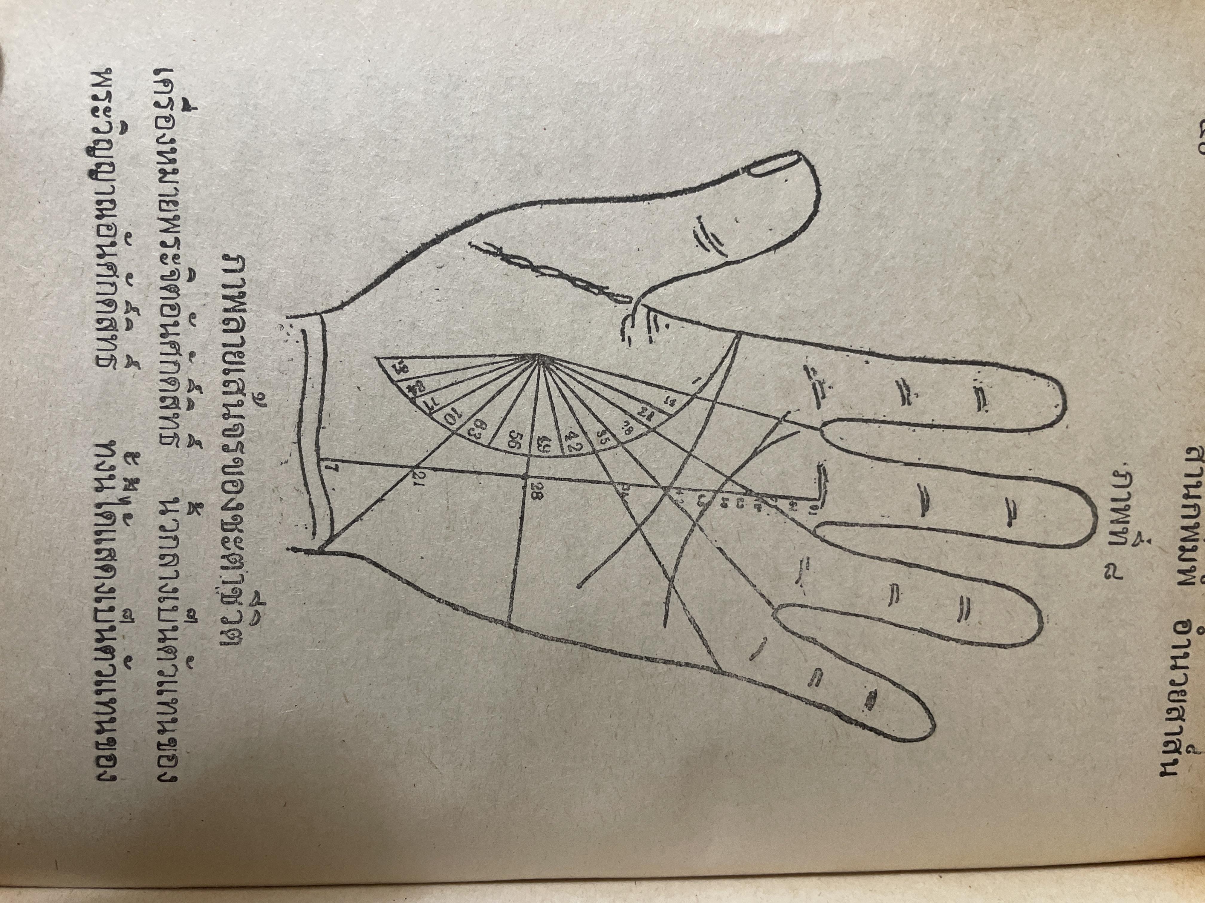 ตำราดูลักษณะลายมือ ผู้เขียน จำลอง พิศนาคะ 1,800 กรัม