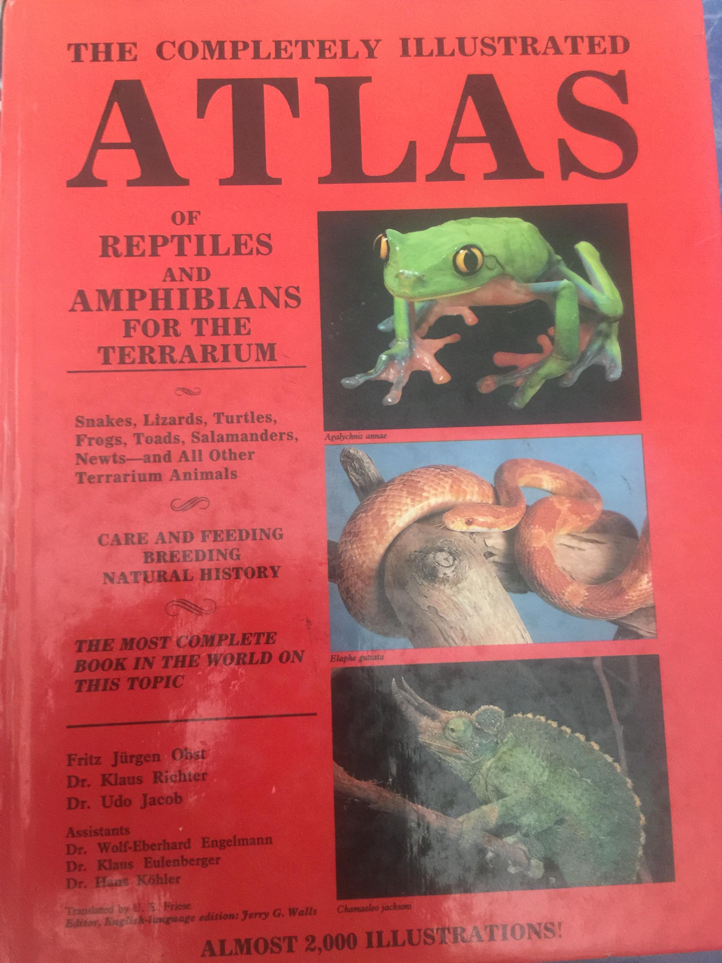 ATLAS of REPTILES and AMPHIBIANS for THE TERRARIUM. THE COMPLETELY. ILLUSTRATED 0 กก.
