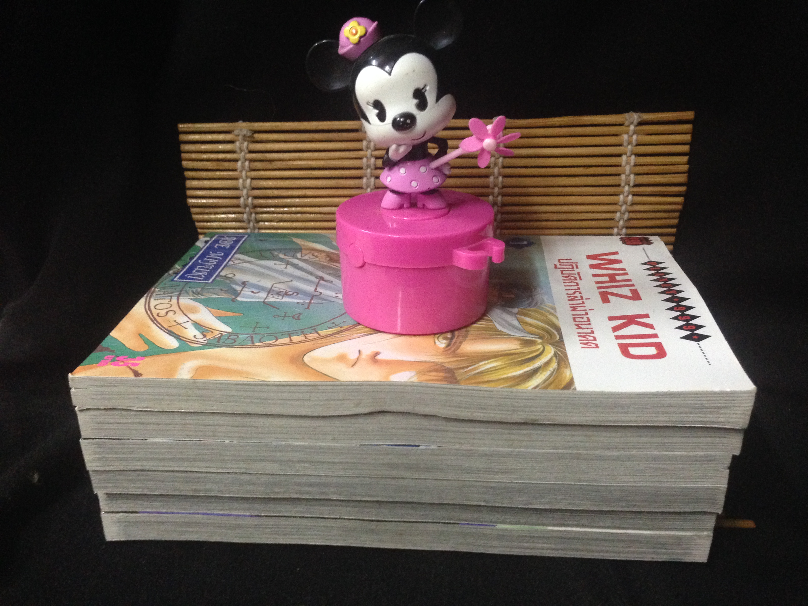 WHIZ KID ปฏิบัติการล่าผ่าอนาคต