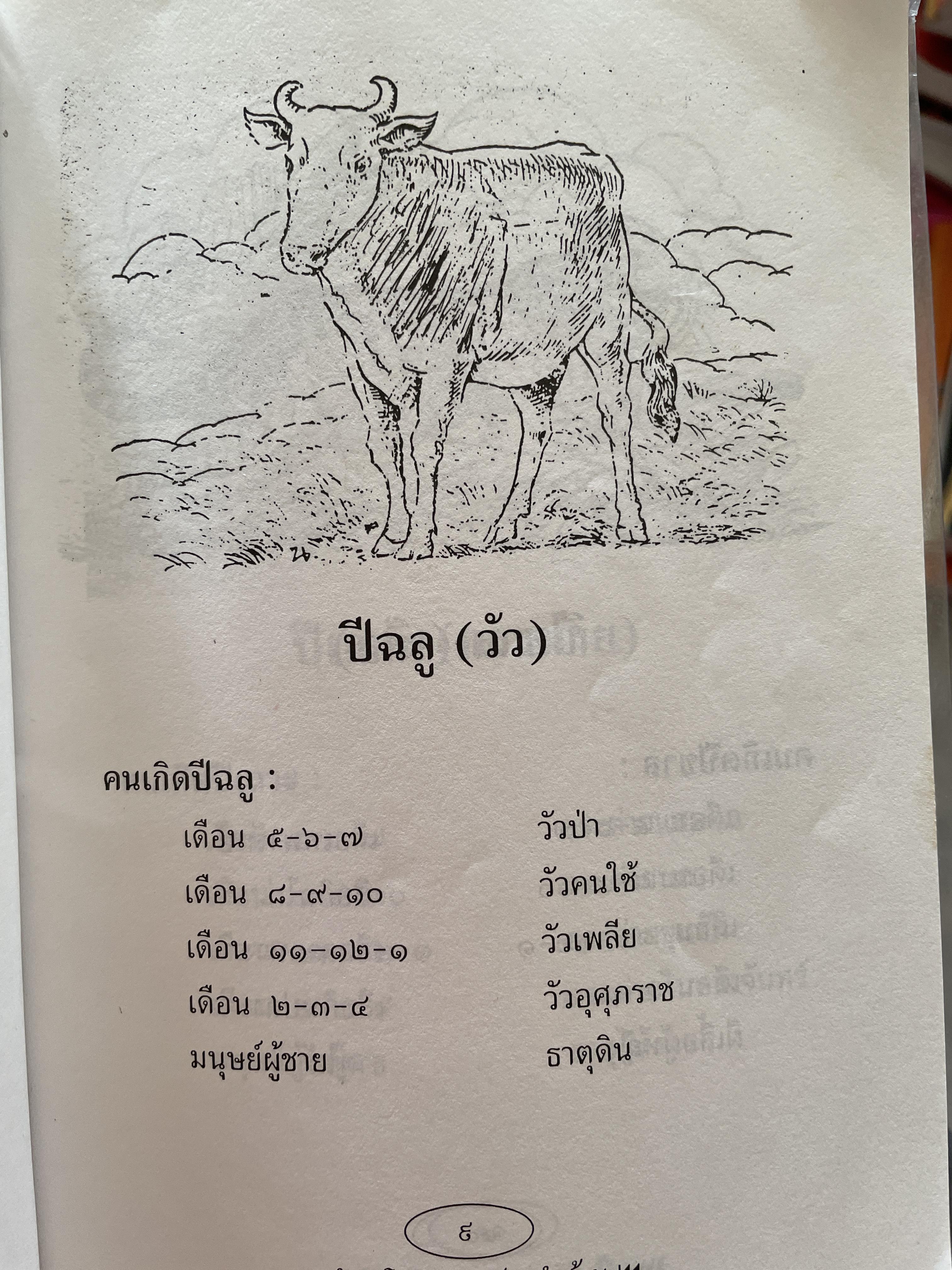 โหรหลวงประจำบ้าน ทำนายชะตาชีวิตแบบ 12 ราศี ดูเนื้อคู่ ลักษณะและอาชีพ ฯลฯ 800 กรัม
