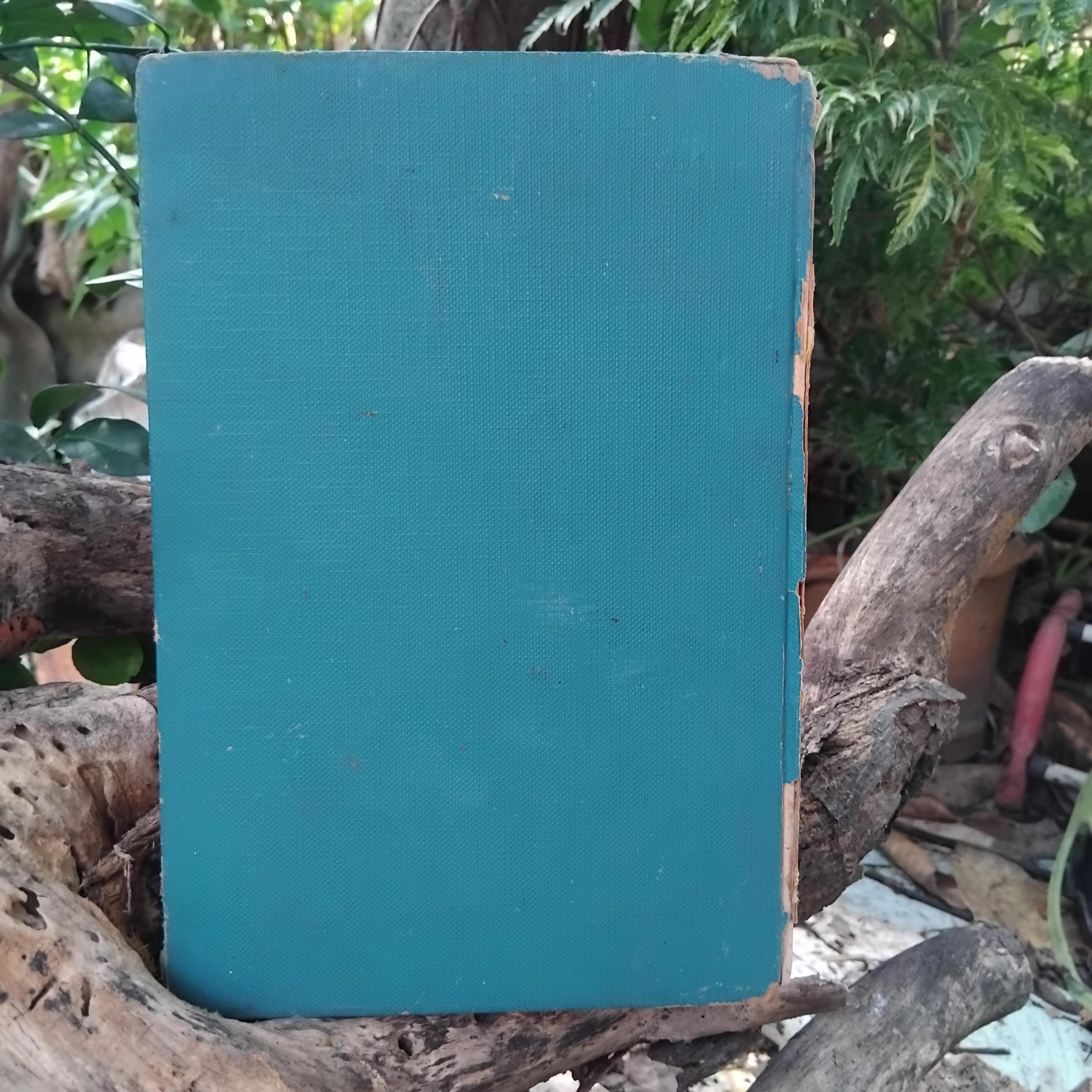 เที่ยวเมืองพม่า พระนิพนธ์ สมเด็จพระเจ้าบรมวงศ์เธอ กรมพระยาดำรงราชานุภาพ มีภาพประกอบ