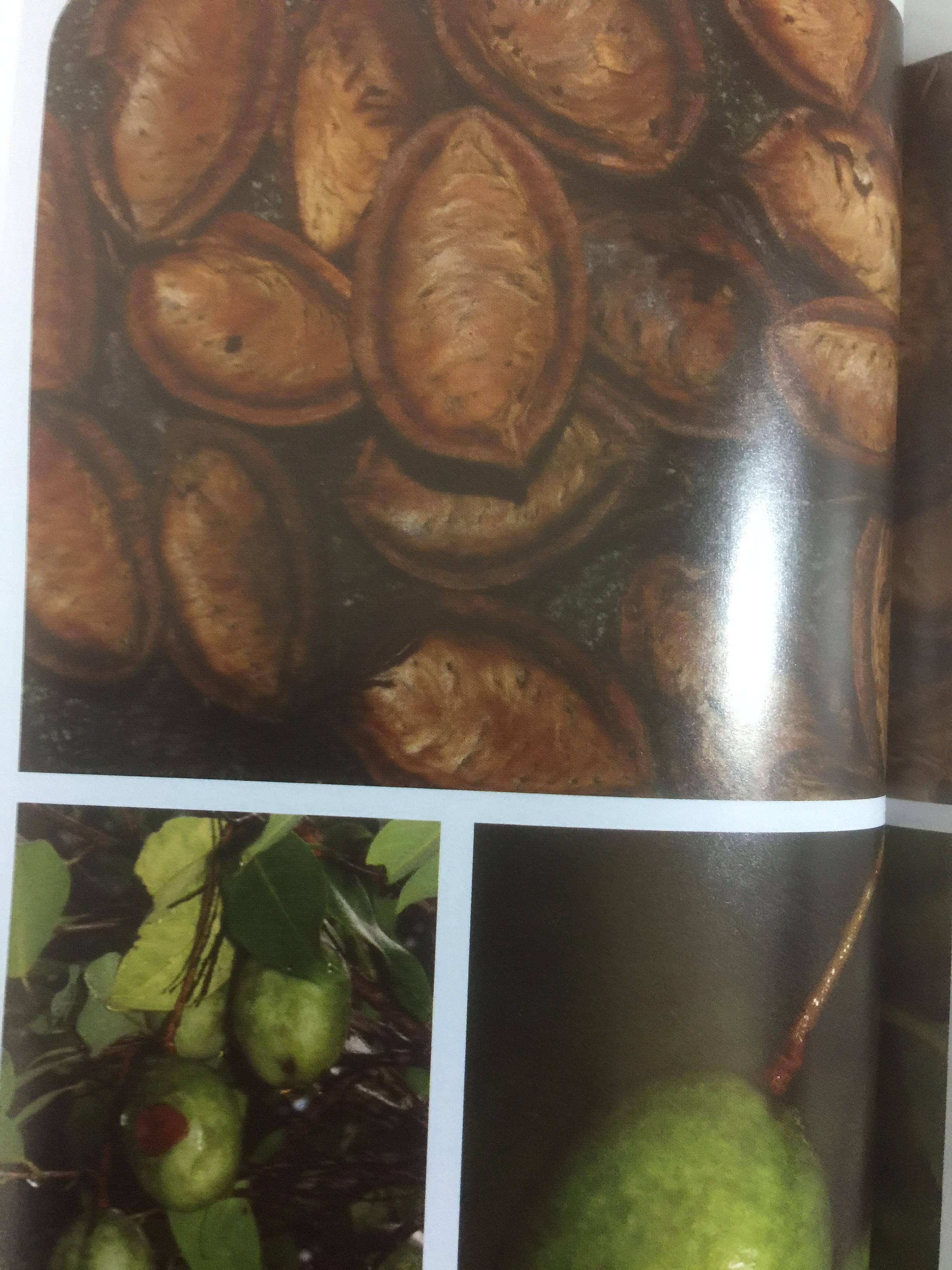 พรรณไม้พื้นเมืองไทย จากเขาใหญ่สู่ลำน้ำโขง ผู้จัดทำ กรมวิชาการเกษตร 0 กก.