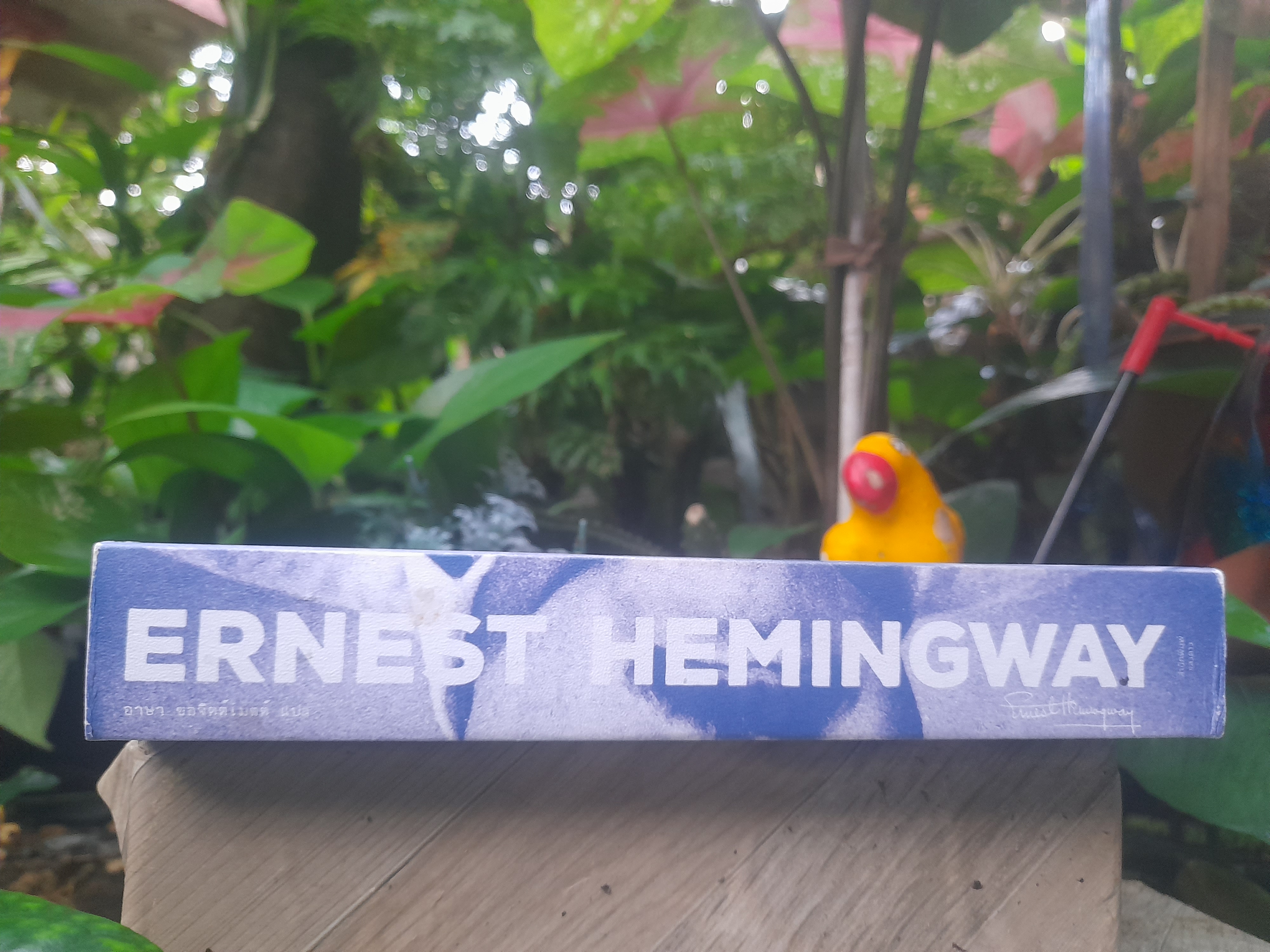 ERNEST HEMINGWAY เรื่องสั้นคัดสรร ของนักเขียนรางวัลโนเบล เฮมิงเวย์ หนังสือมือหนึ่งครับ