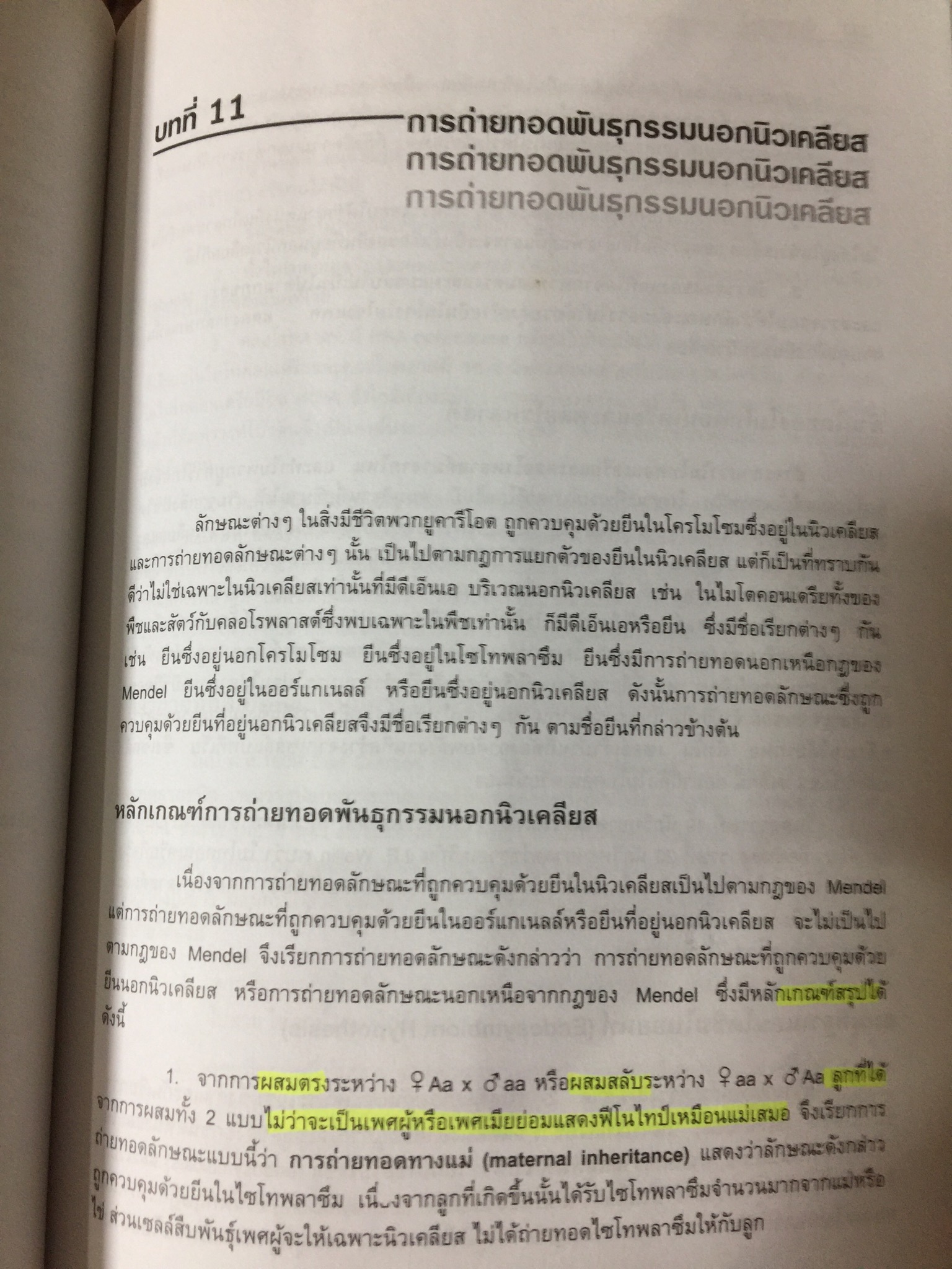 พันธุศาสตร์ ผู้เขียนและเรียบเรียง ดาวรุ่ง กังวานพงศ์ 0 กก.