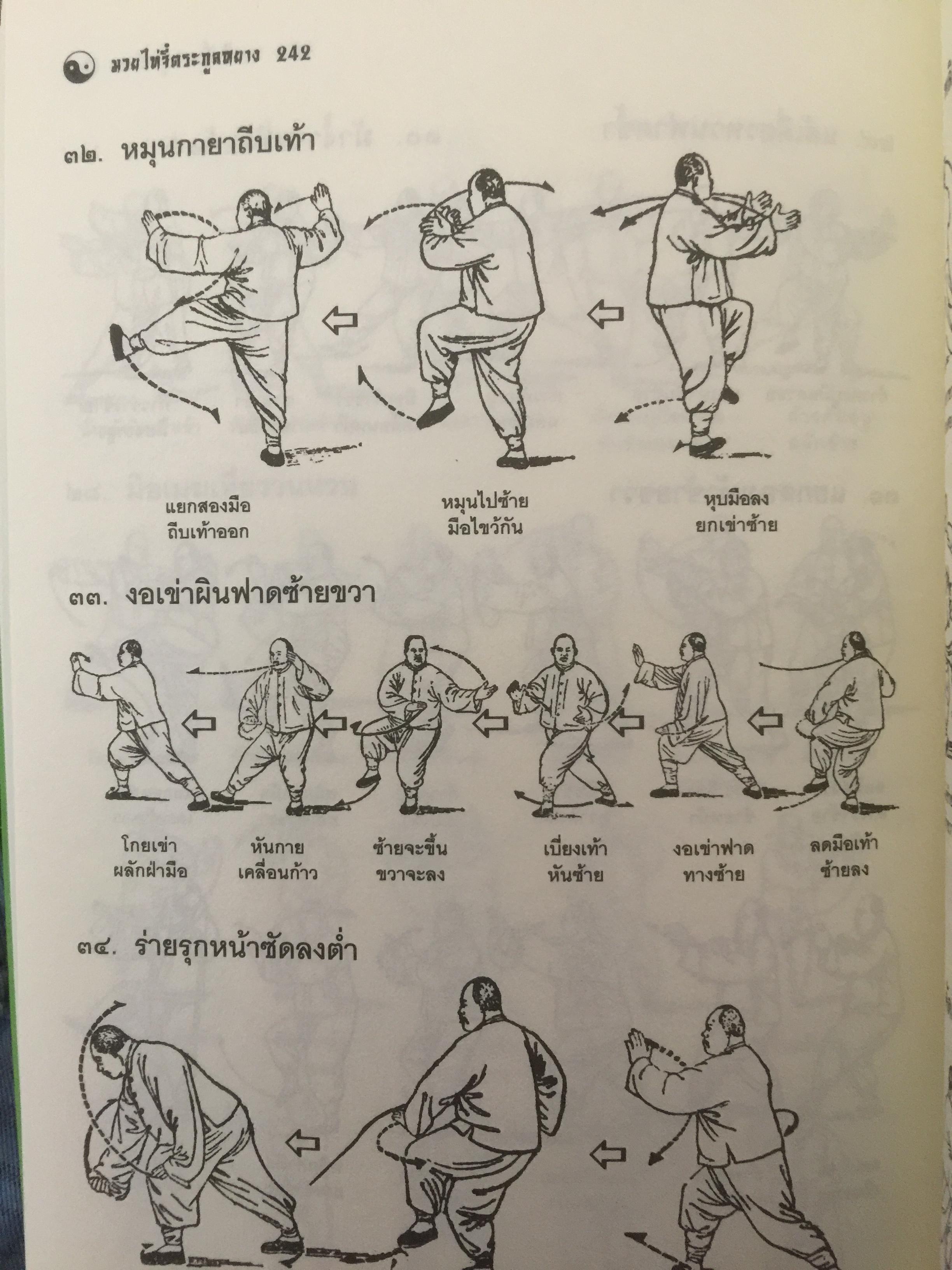 มวยพลังภายใน ไทเก๊ก(มวยไท้จี๋ตระกูลหยาง) 2,500 กรัม