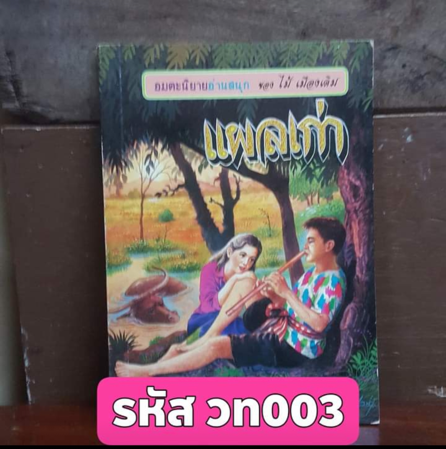 แผลเก่า ไม้ เมืองเดิม