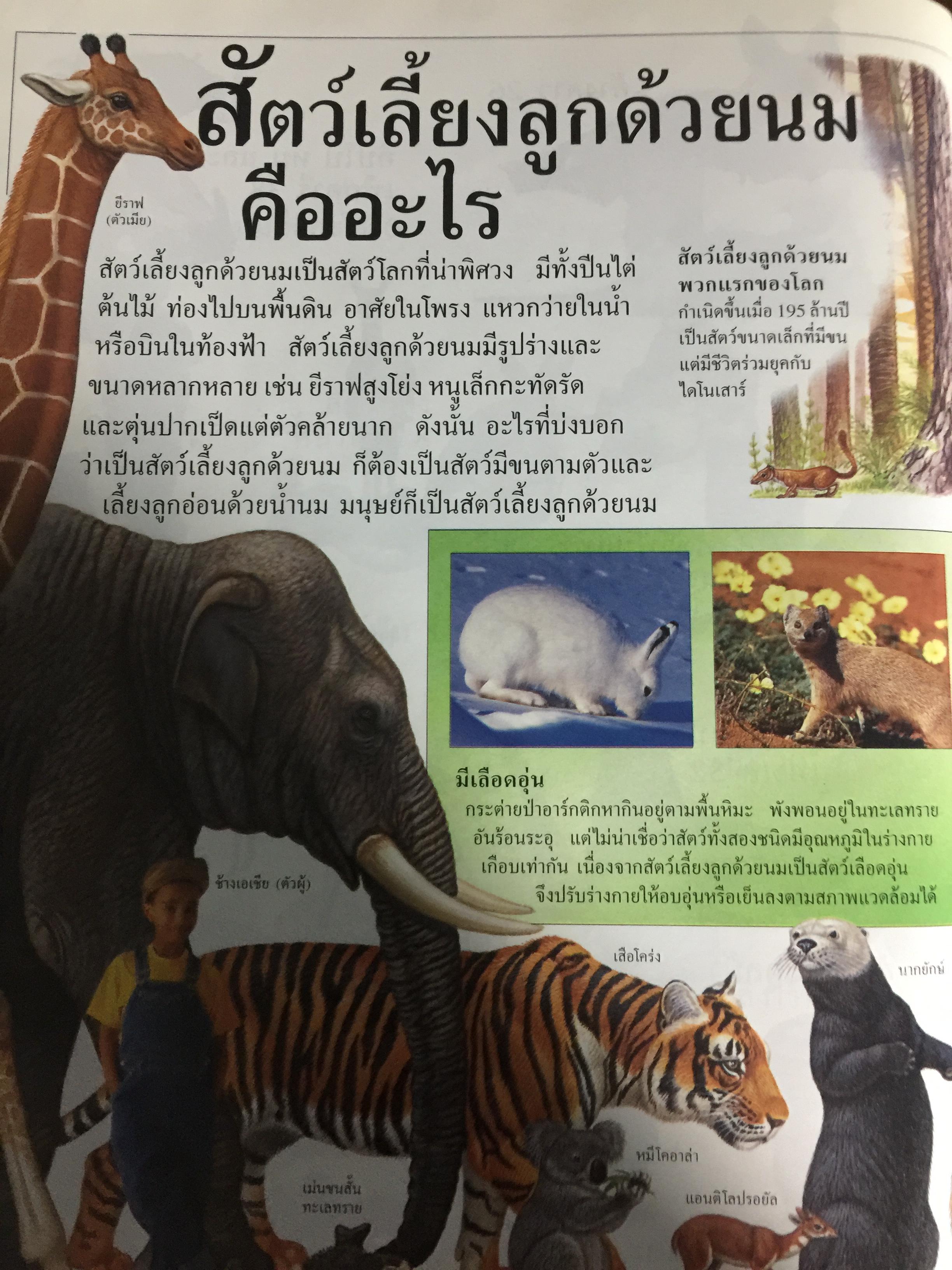 สัตว์เลี้ยงลูกด้วยนม. หนังสือเด็กรักลูก ห้องสมุดแสนสนุก ค้นพบโลกแห่งความมหัศจรรย์ด้วยภาพตื่นตาเร้าใจพร้อมเรื่องน่ารู้ชวนติดตาม 0 กก.